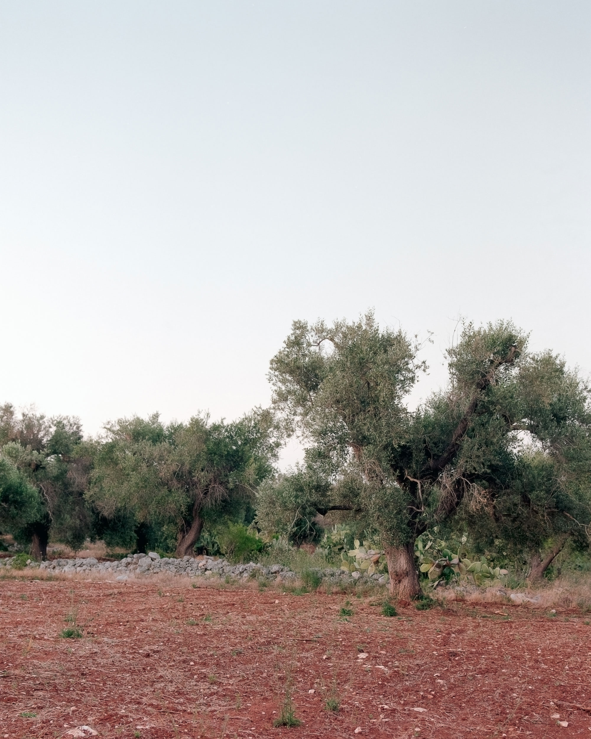 Casanguilla, A Modern House Nestled in the Countryside - Gessato