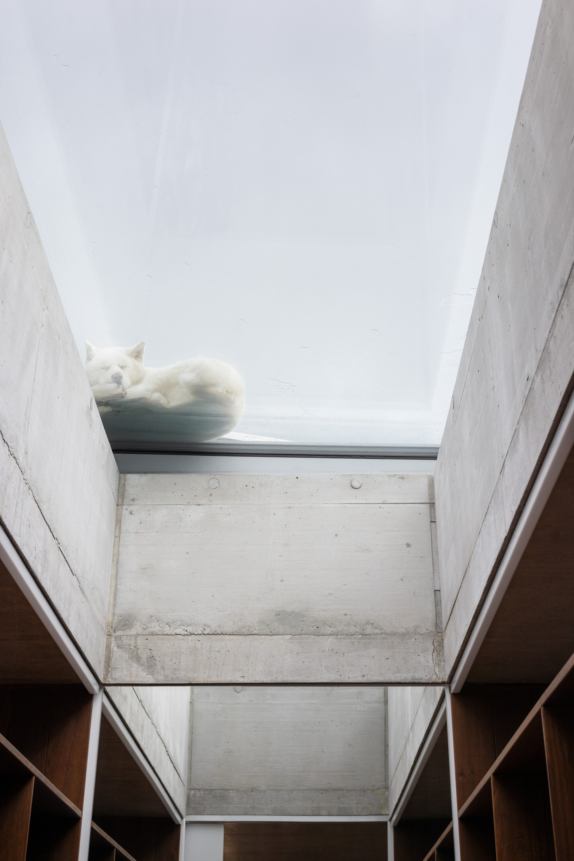 Embedded House - Gessato