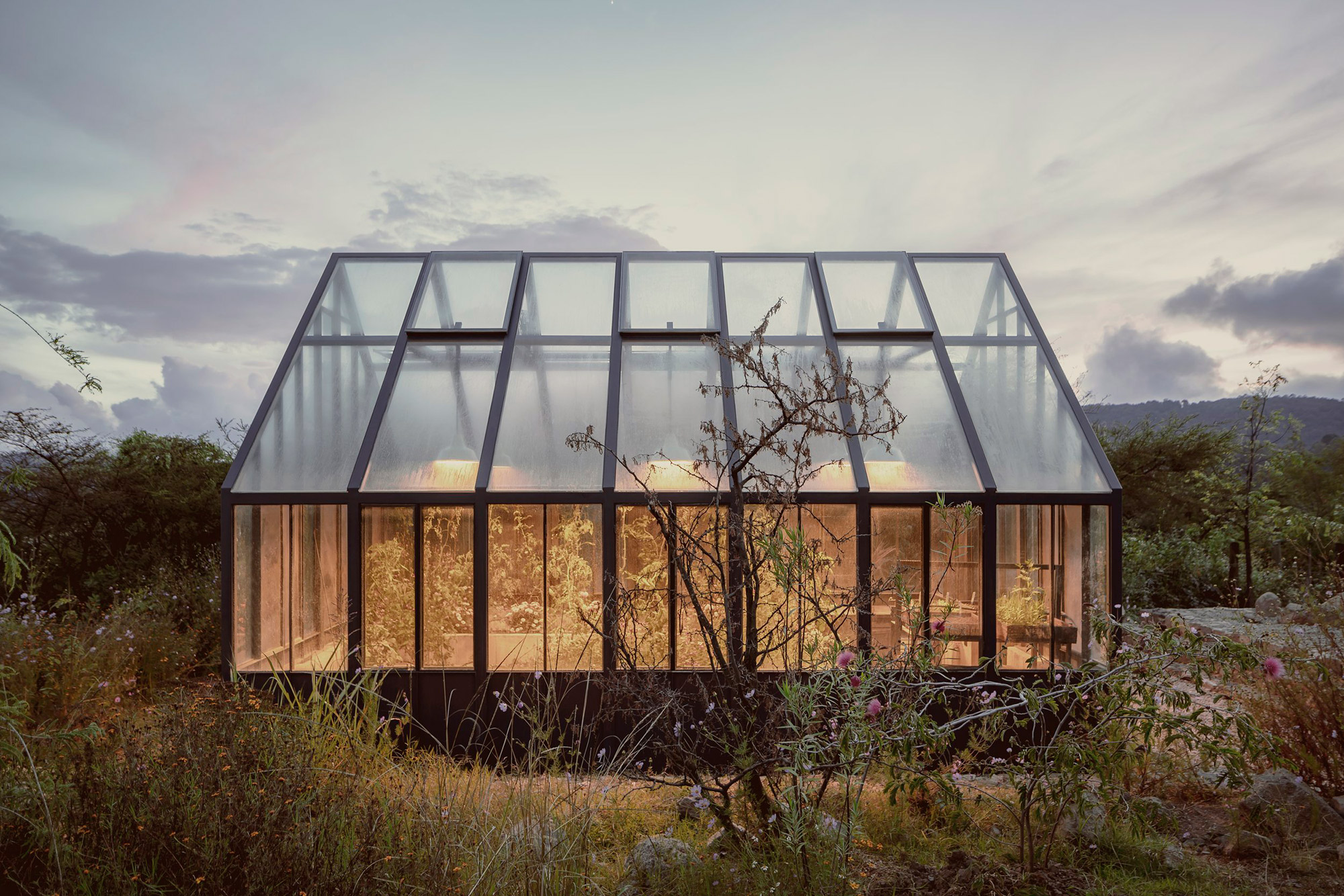 Greenhouse - Gessato