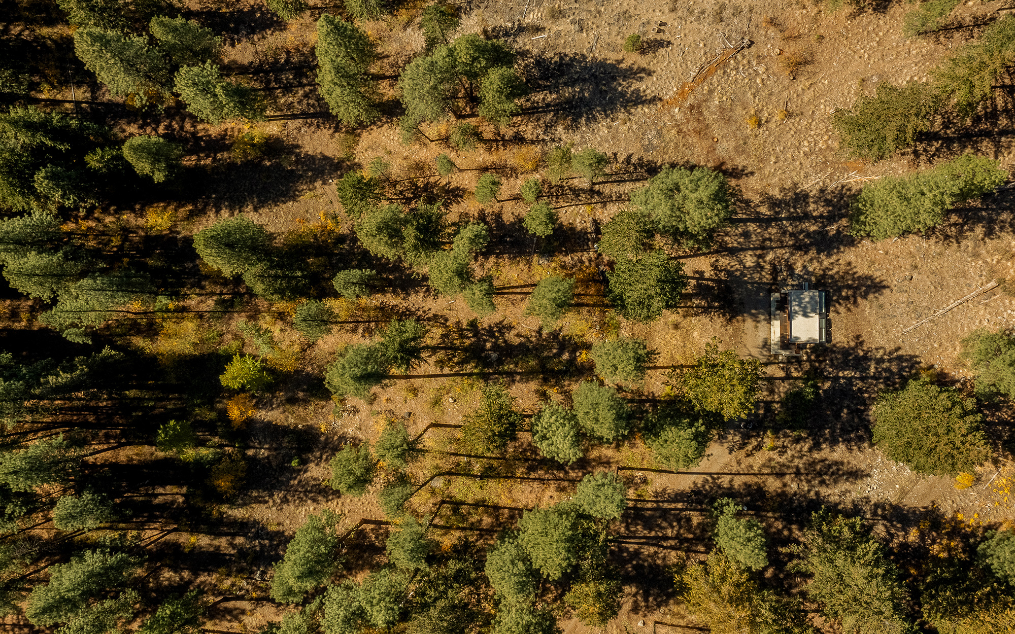 Tinyleaf, Or The Perfect Tiny Cabin - Gessato
