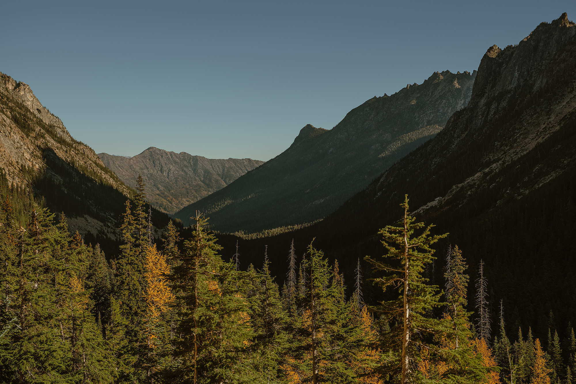 Tinyleaf, Or The Perfect Tiny Cabin - Gessato