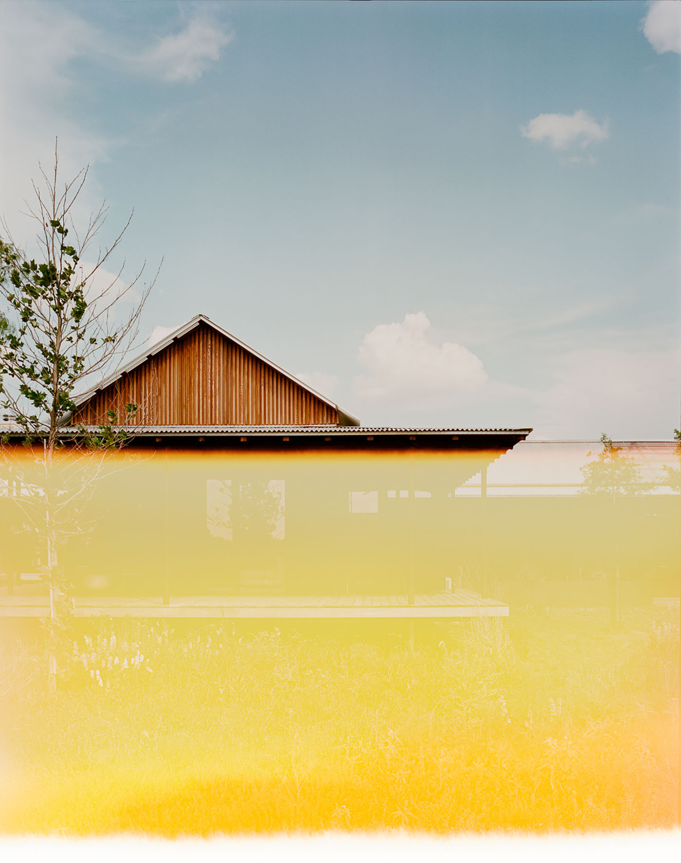 Roam Ranch - Gessato Roam Ranch - Gessato