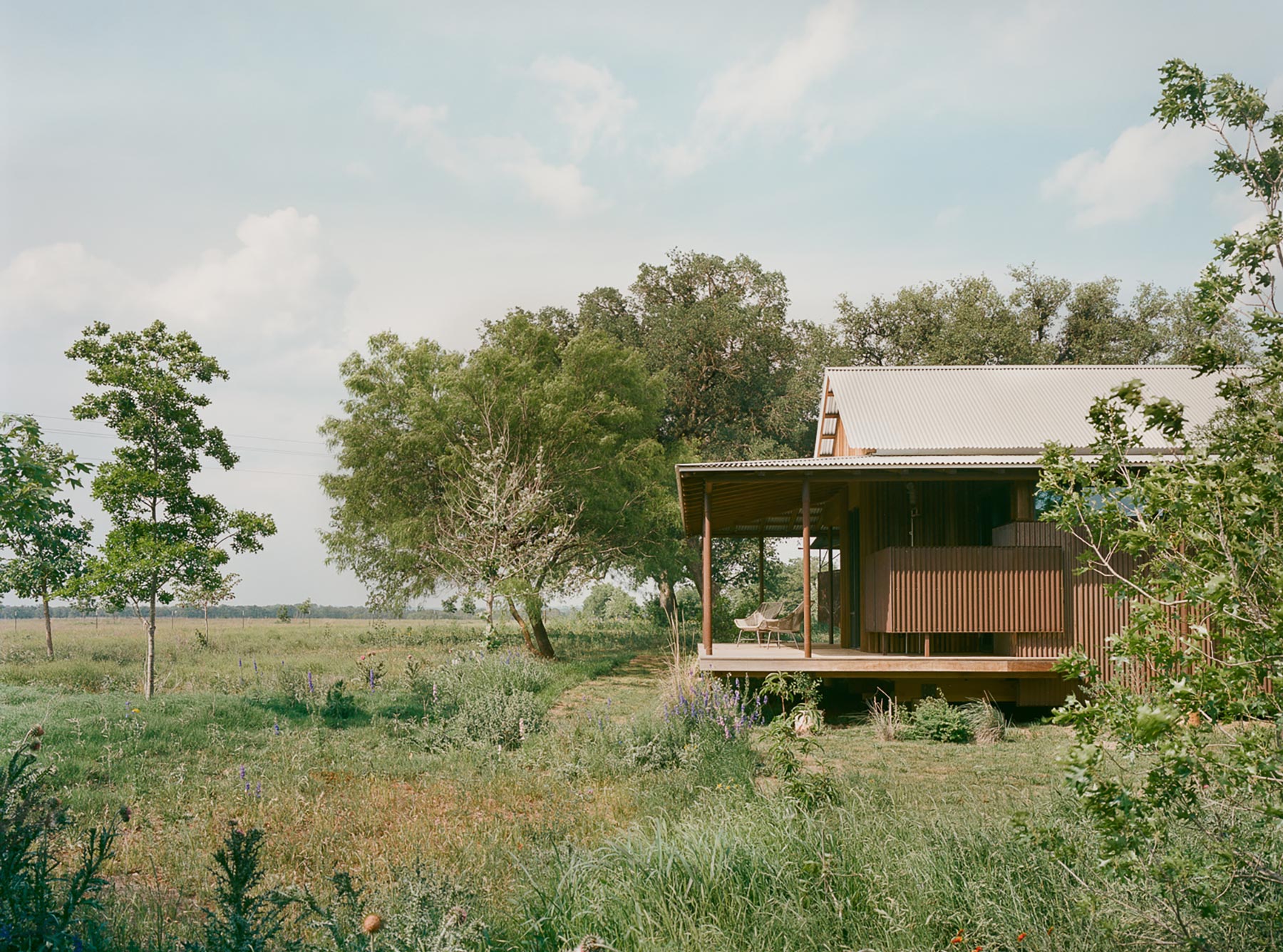 Roam Ranch - Gessato