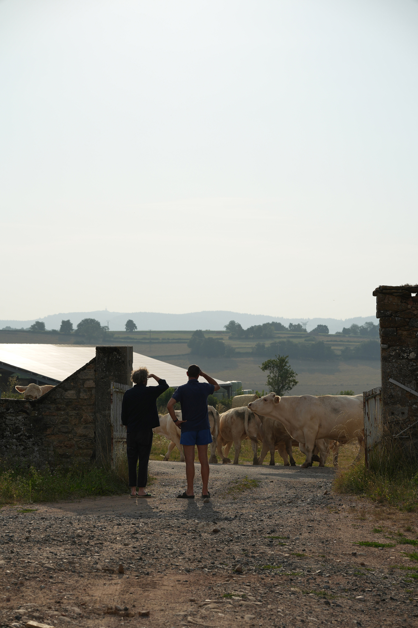 La Grange - Gessato La Grange - Gessato