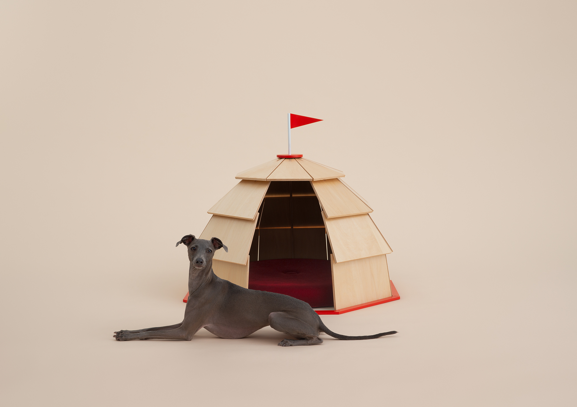 Architecture for Dogs, A Project Created for Man's Best Friend - Gessato Architecture for Dogs, A Project Created for Man's Best Friend - Gessato