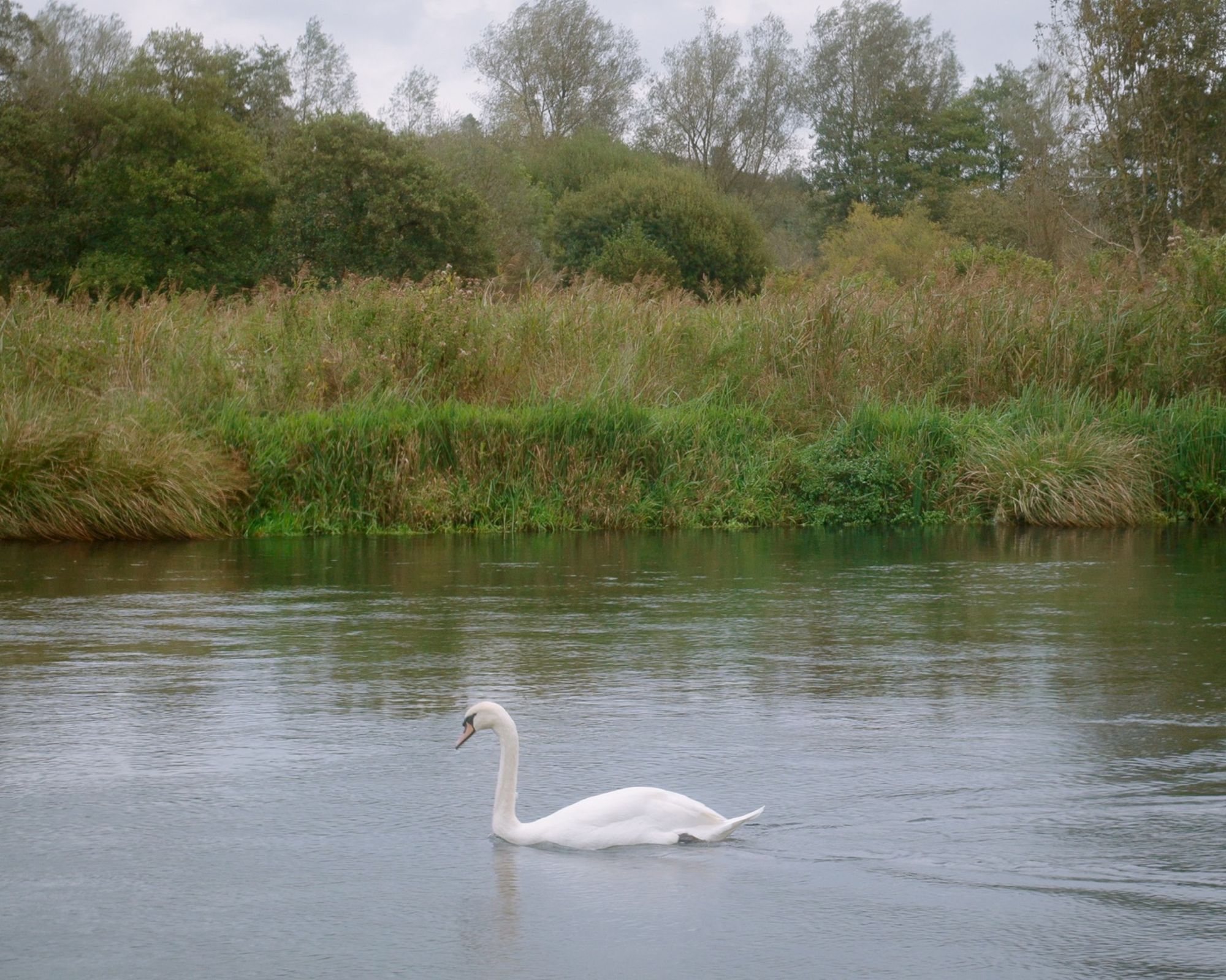 Chalk River House by Oliver Leech Architects - Gessato