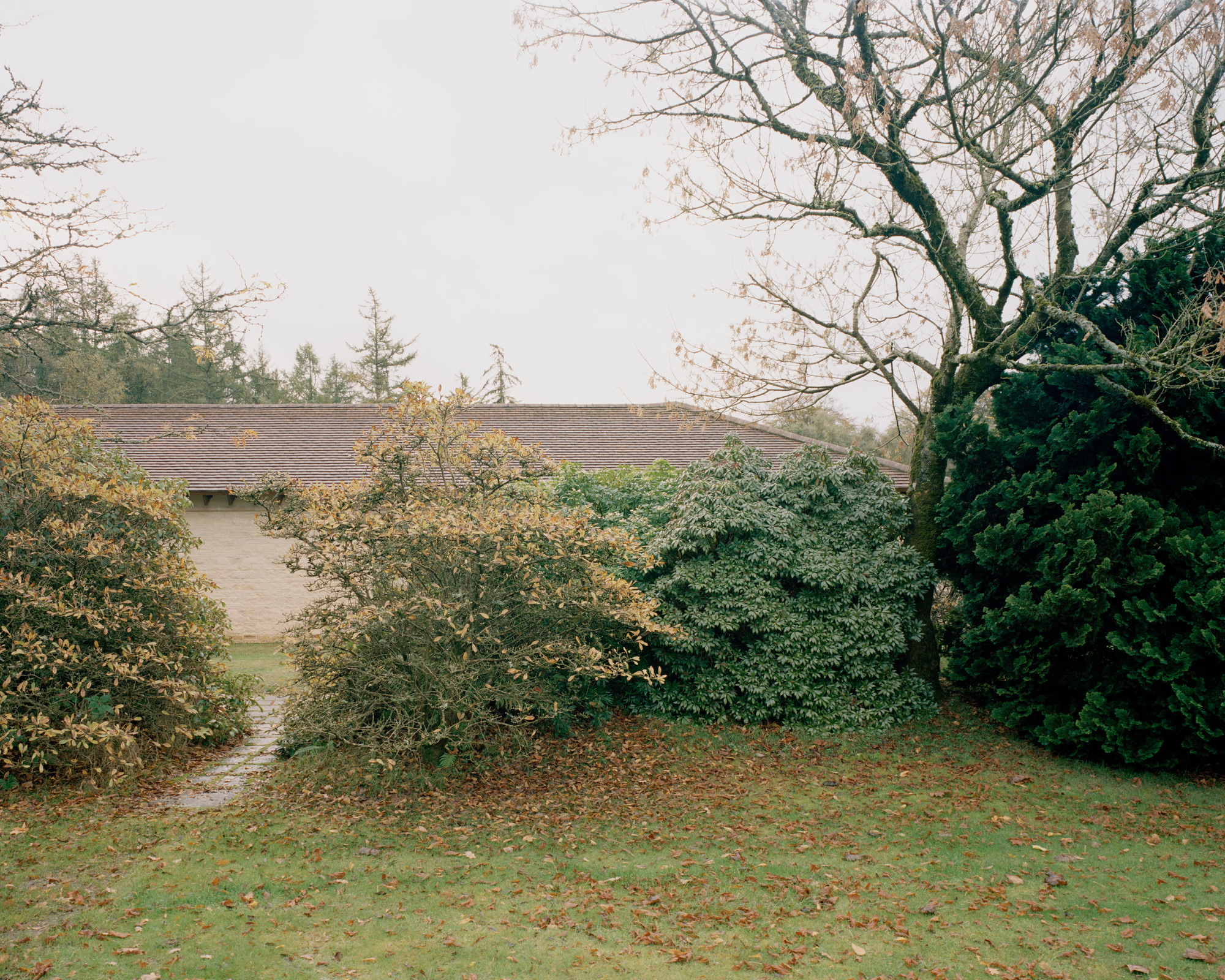 Eavesdrop by Tom Dowdall Architects - Gessato