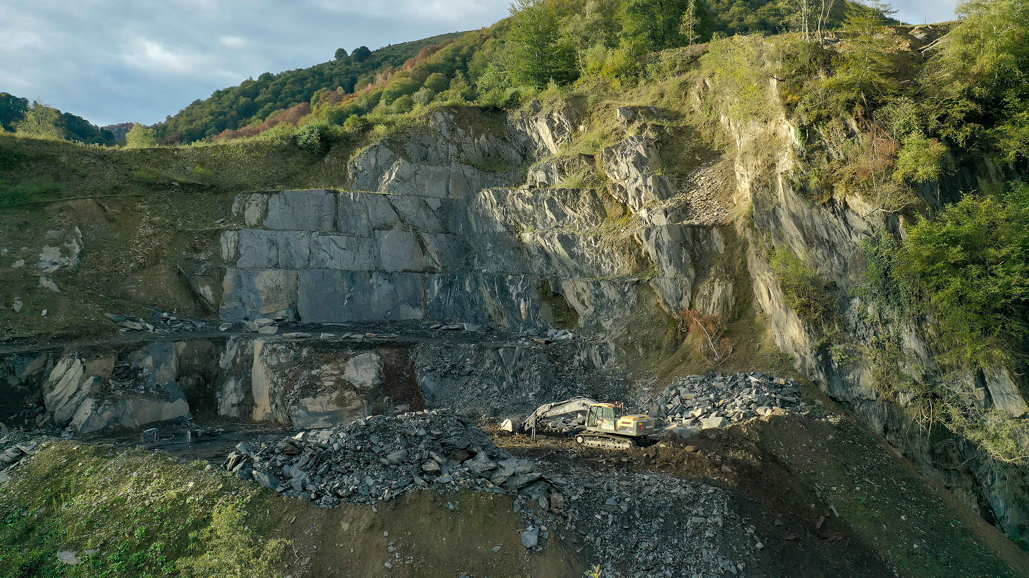 The Labasso Collection - Gessato The Labasso Collection - Gessato