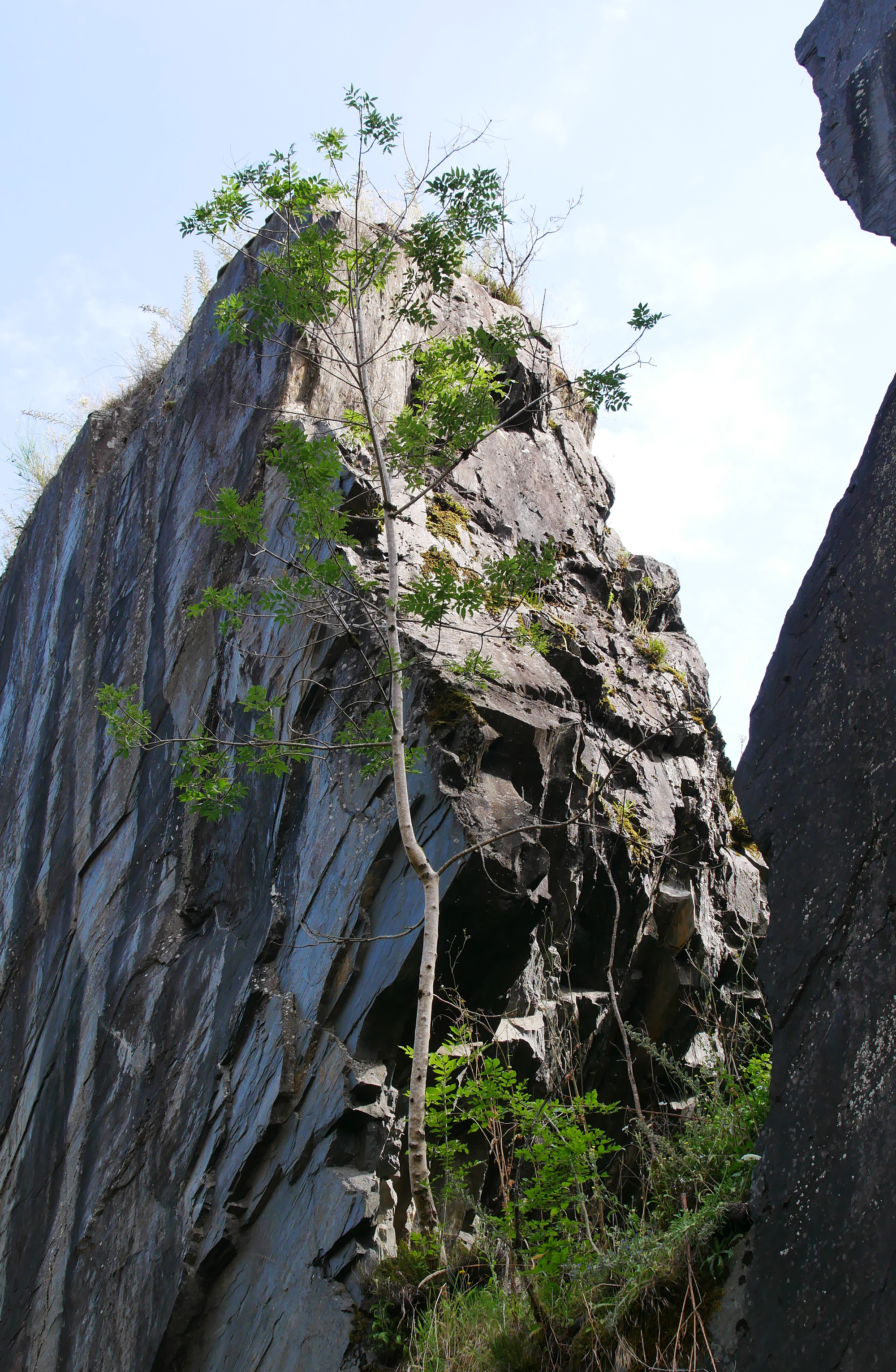 The Labasso Collection - Gessato The Labasso Collection - Gessato