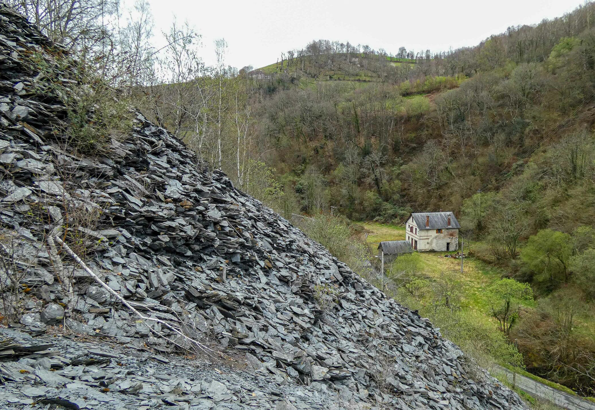 The Labasso Collection - Gessato