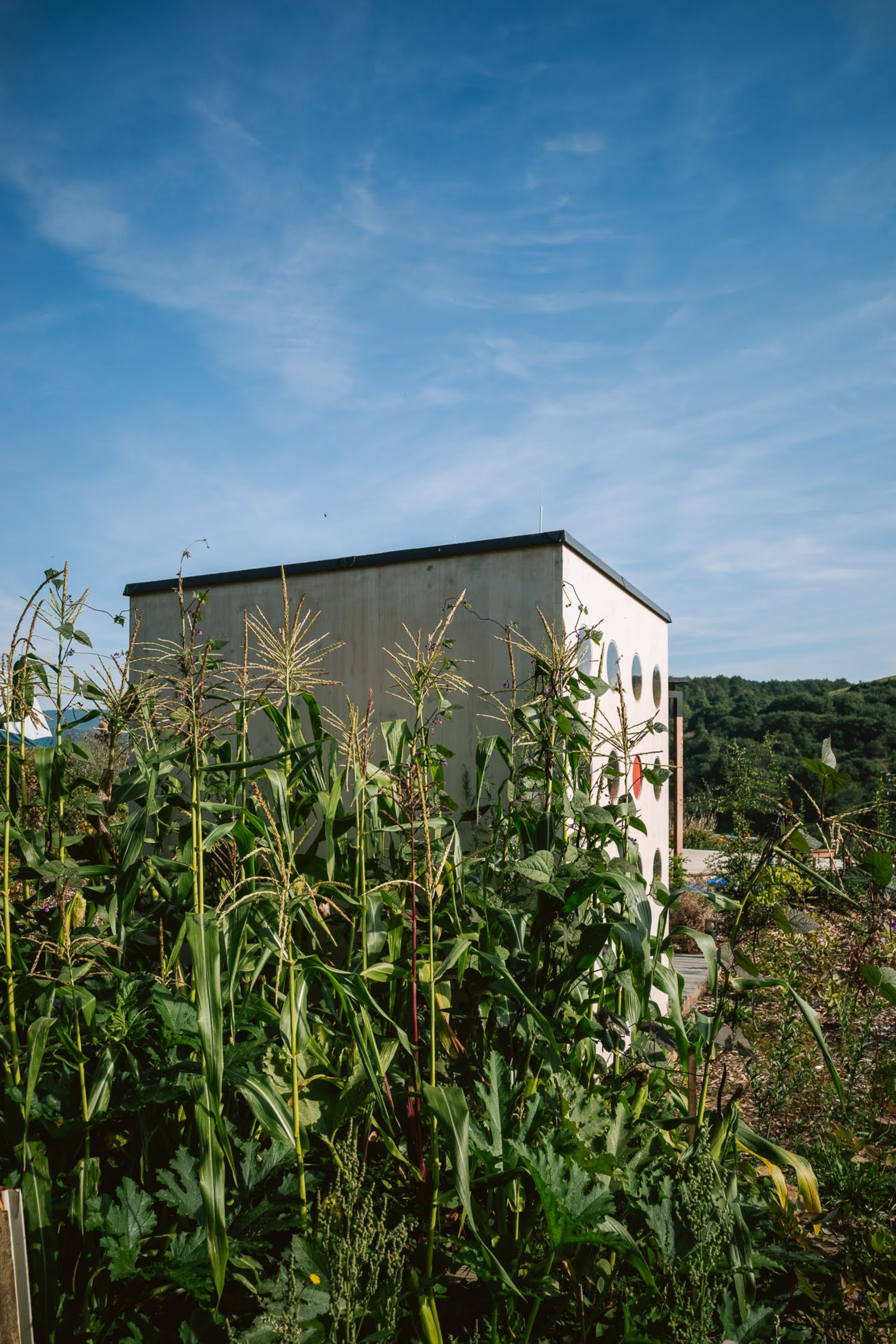 What a Hut - Gessato