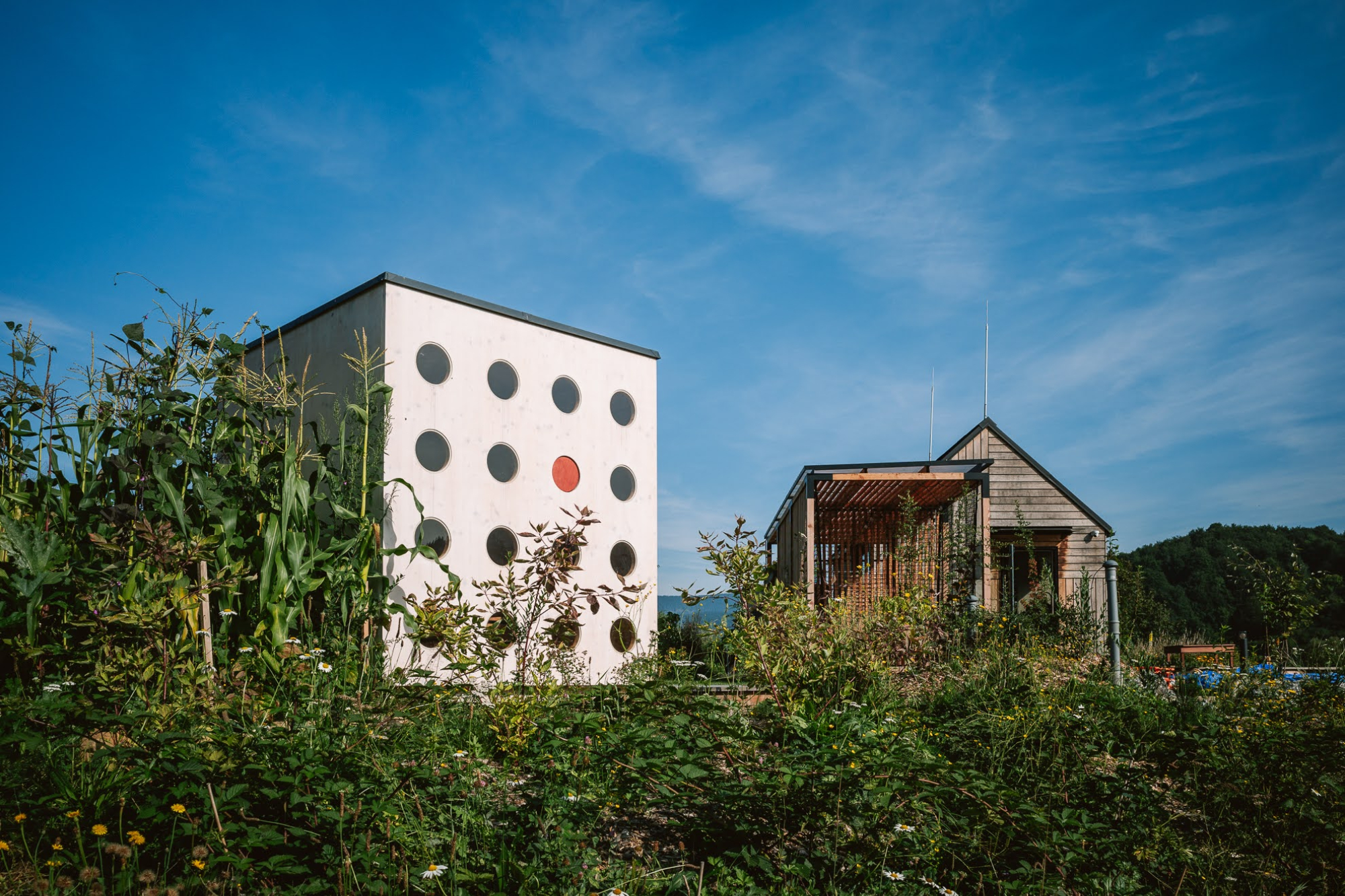 What a Hut - Gessato