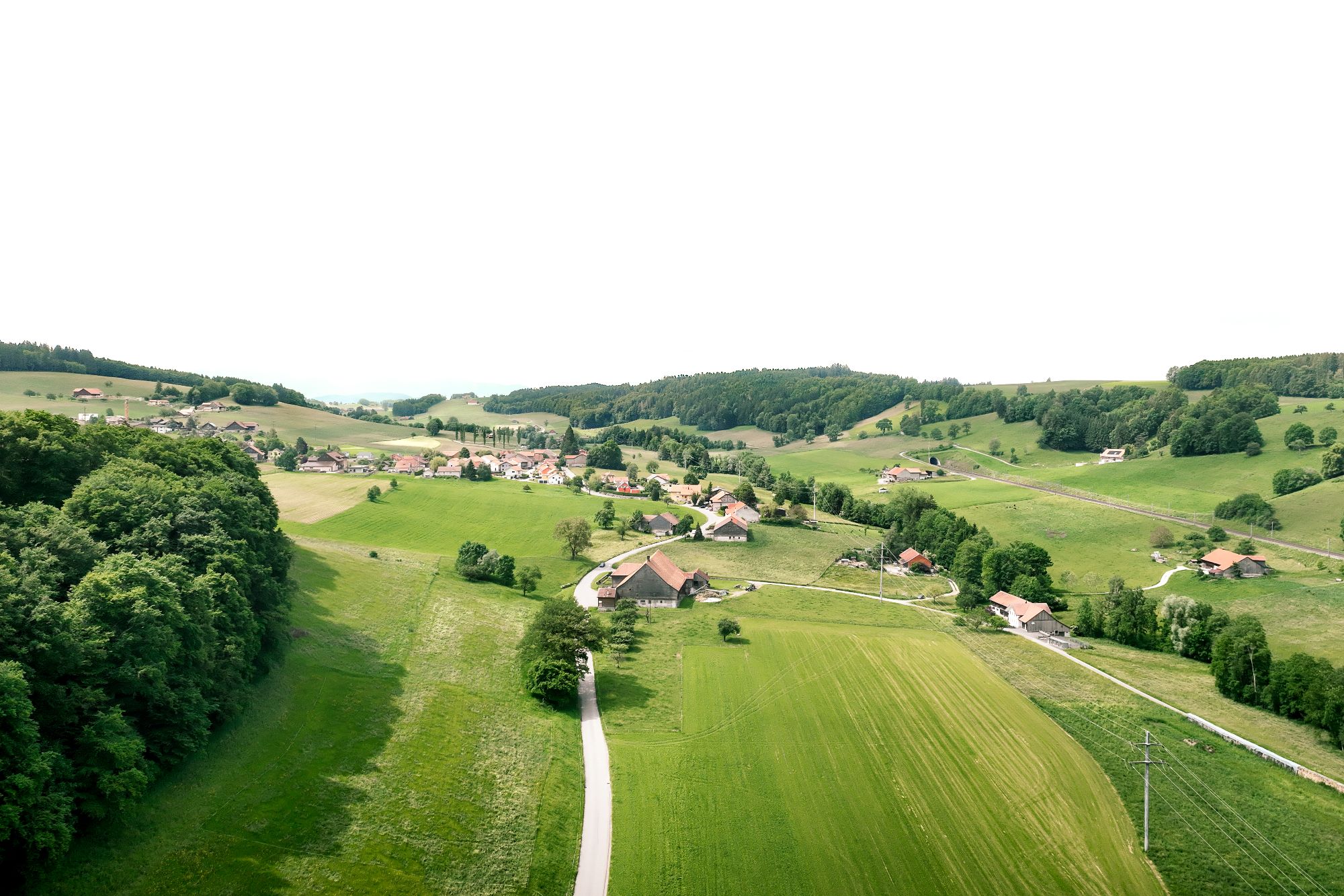 Hayloft House - Gessato