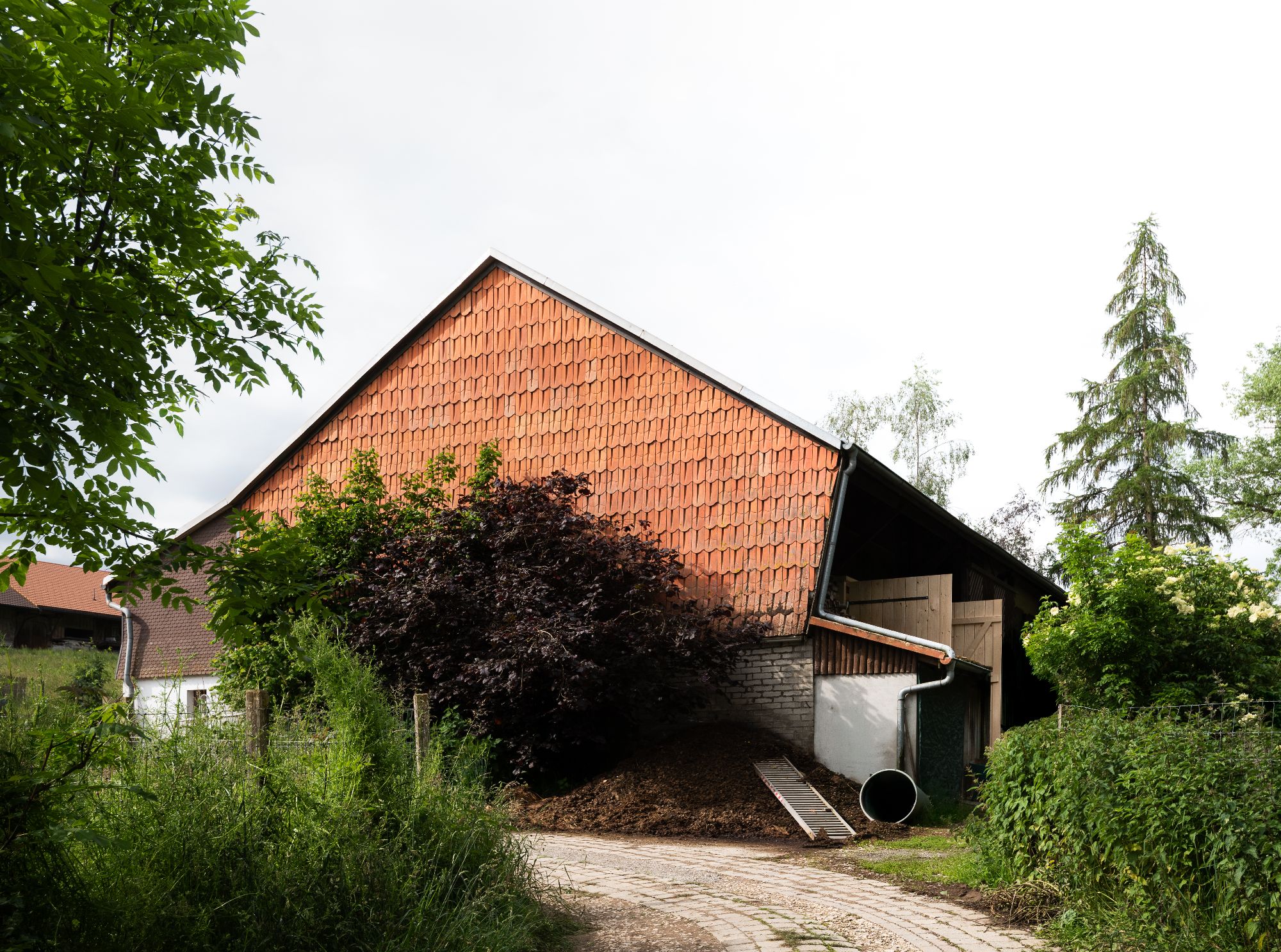 Hayloft House - Gessato