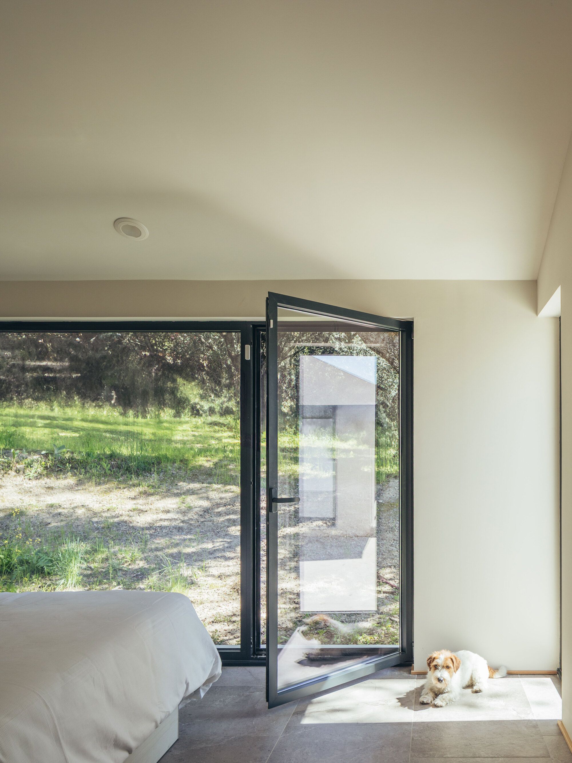 House Among Oaks - Gessato