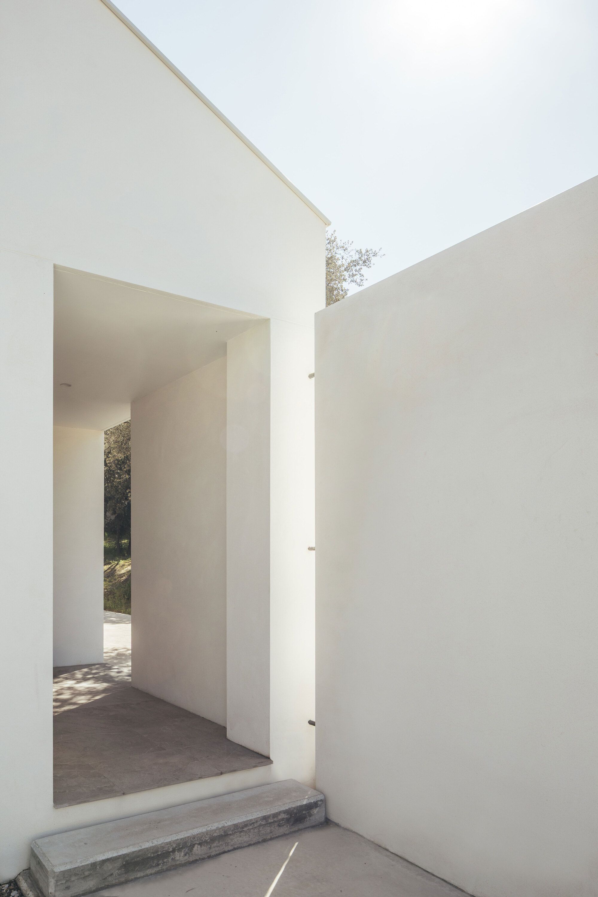 House Among Oaks - Gessato