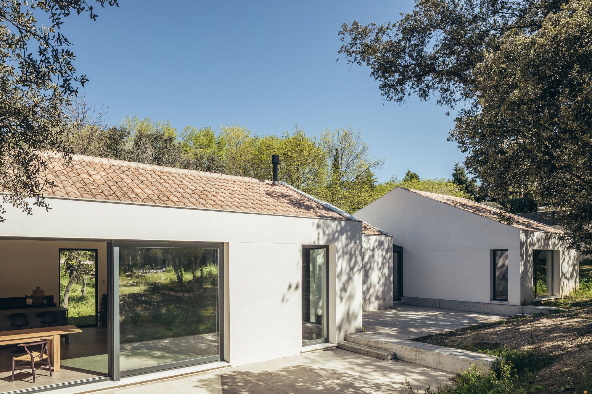 House Among Oaks - Gessato