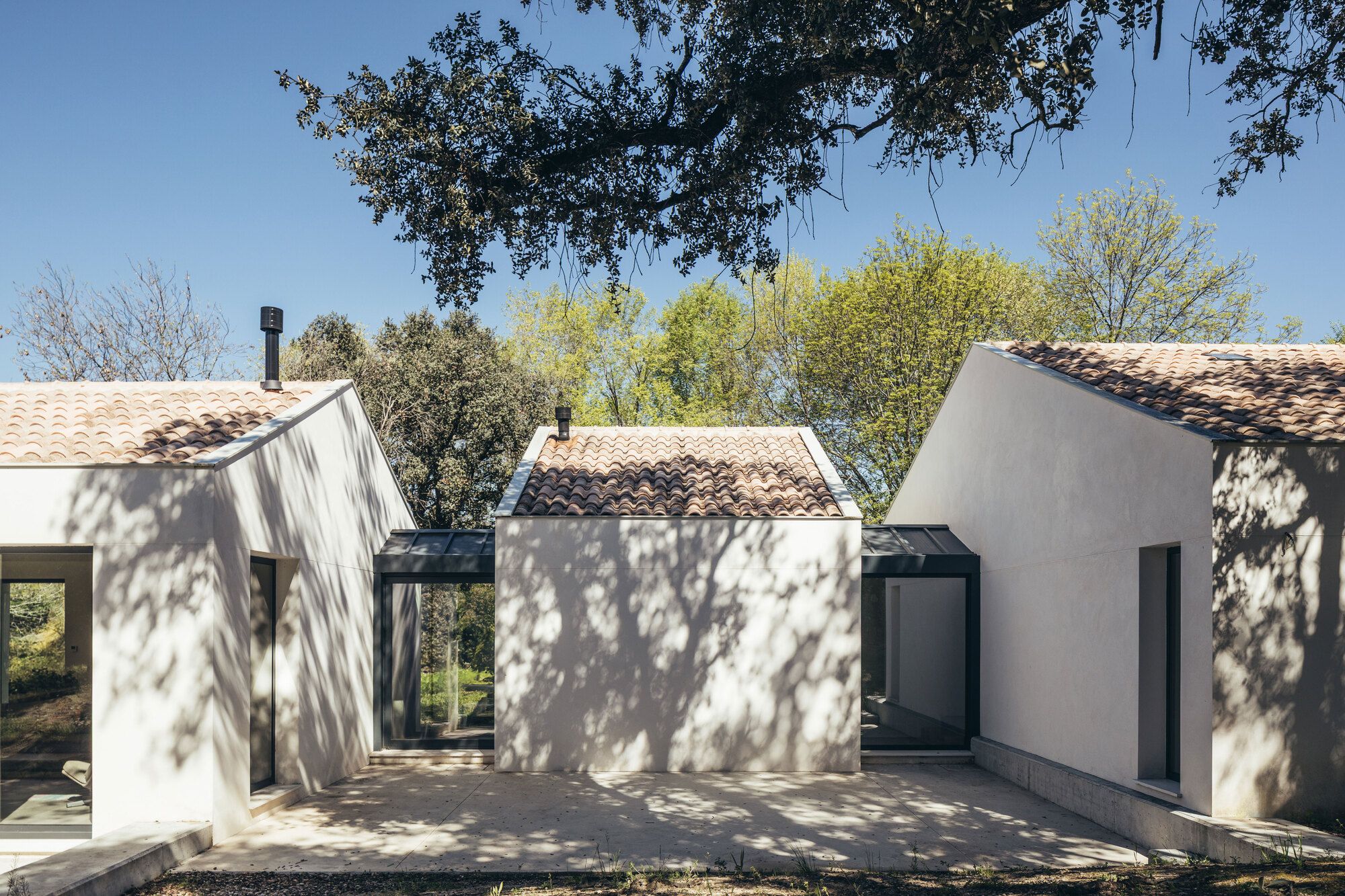 House Among Oaks - Gessato
