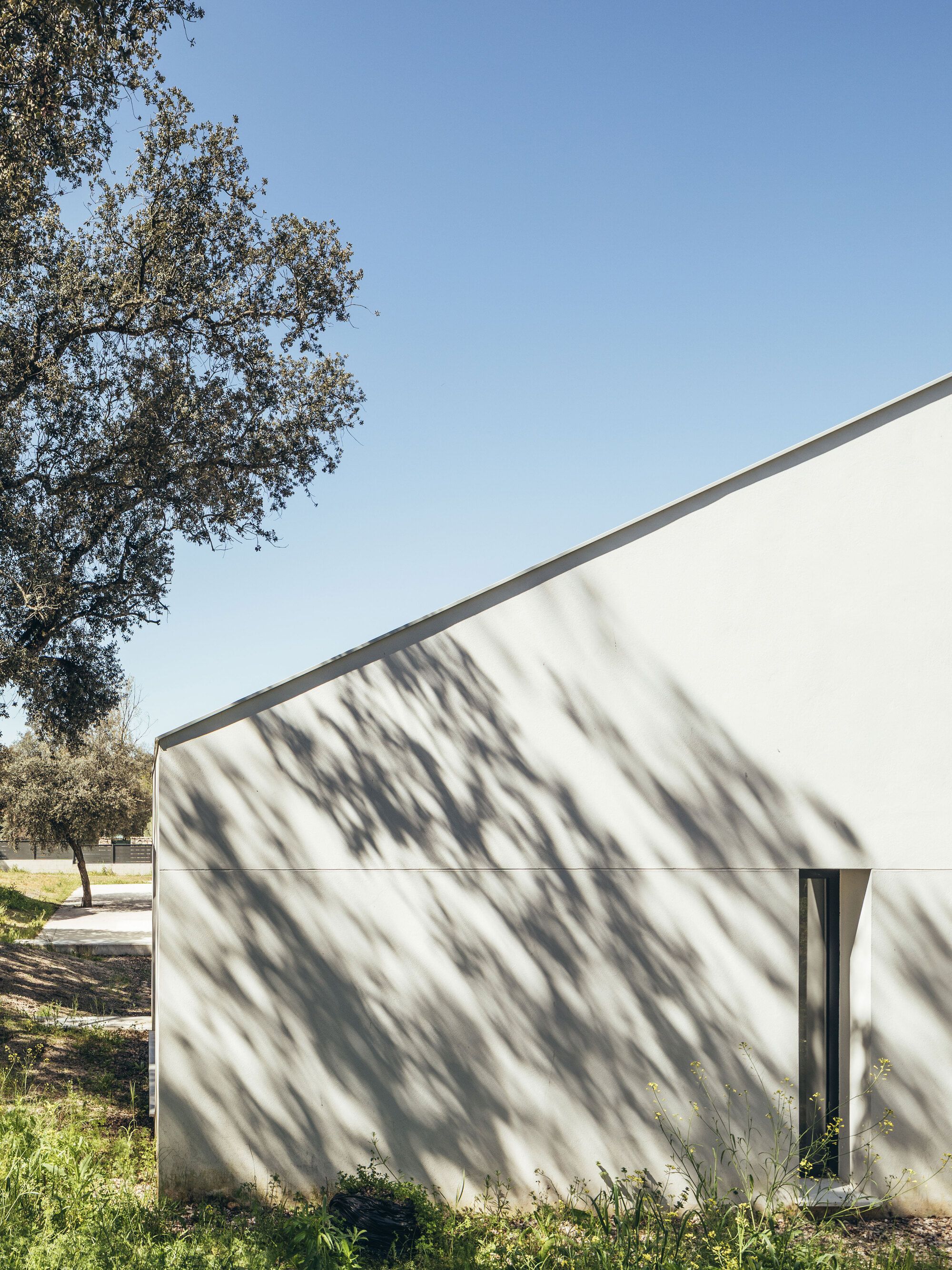 House Among Oaks - Gessato