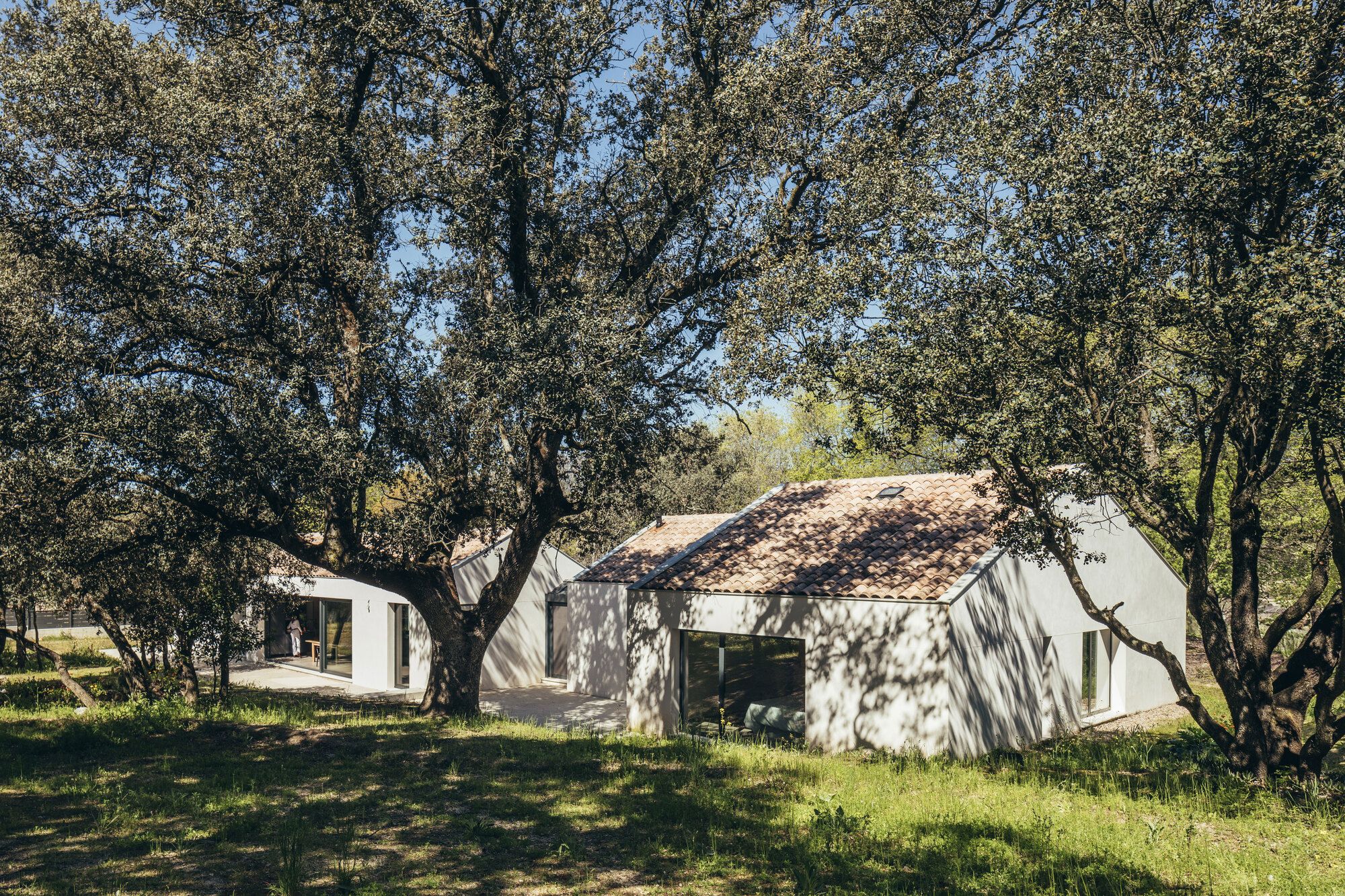 House Among Oaks - Gessato