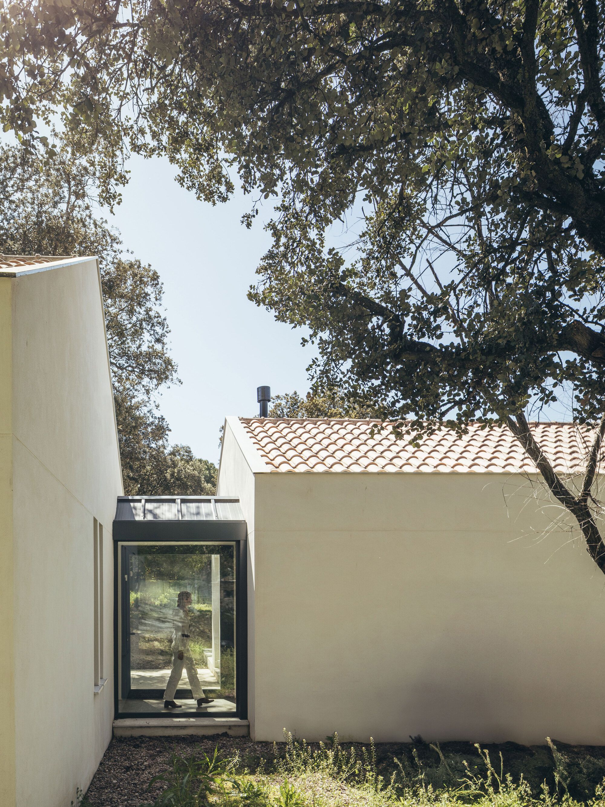 House Among Oaks - Gessato