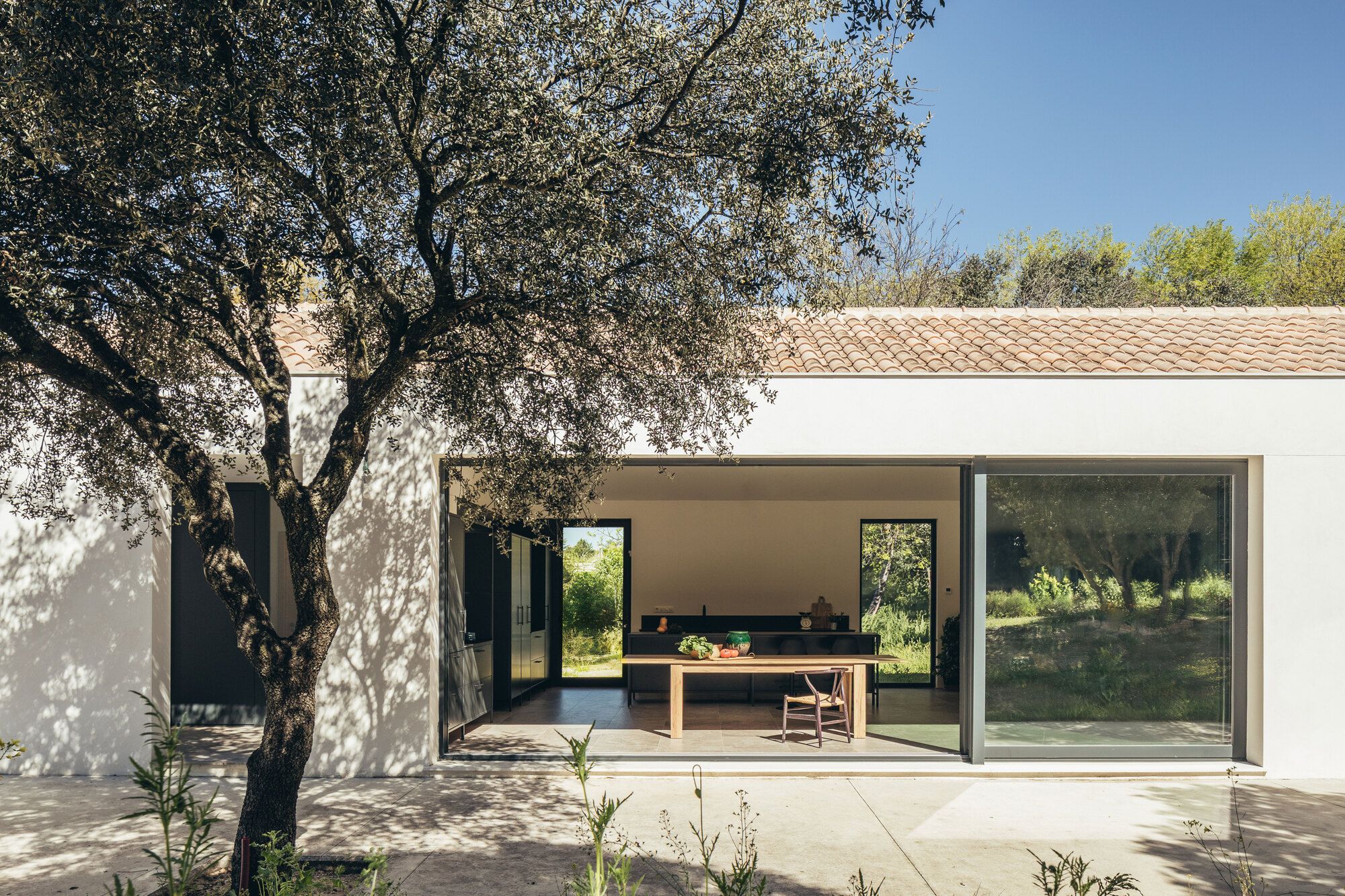 House Among Oaks - Gessato