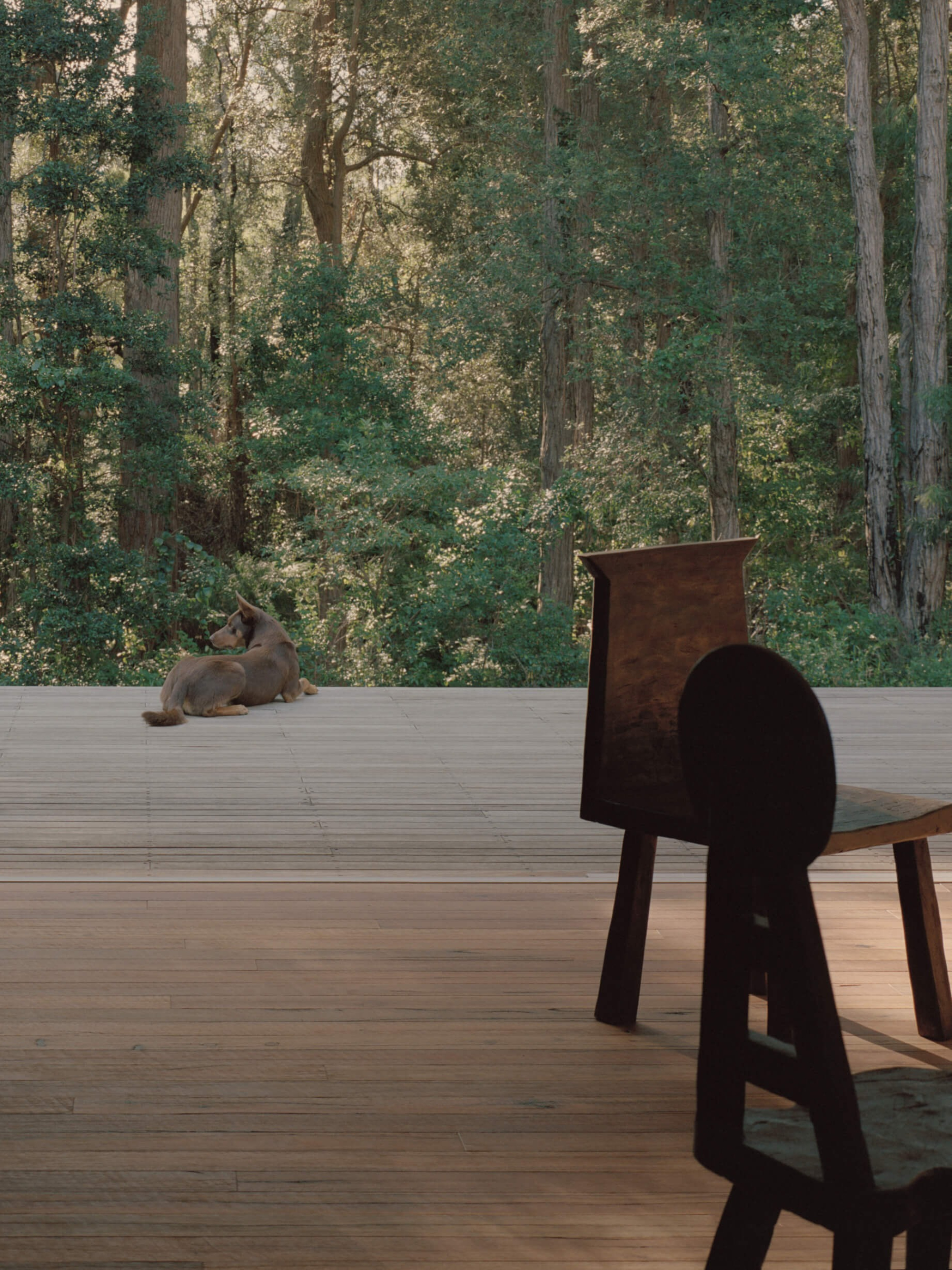 Ironbark House - Gessato