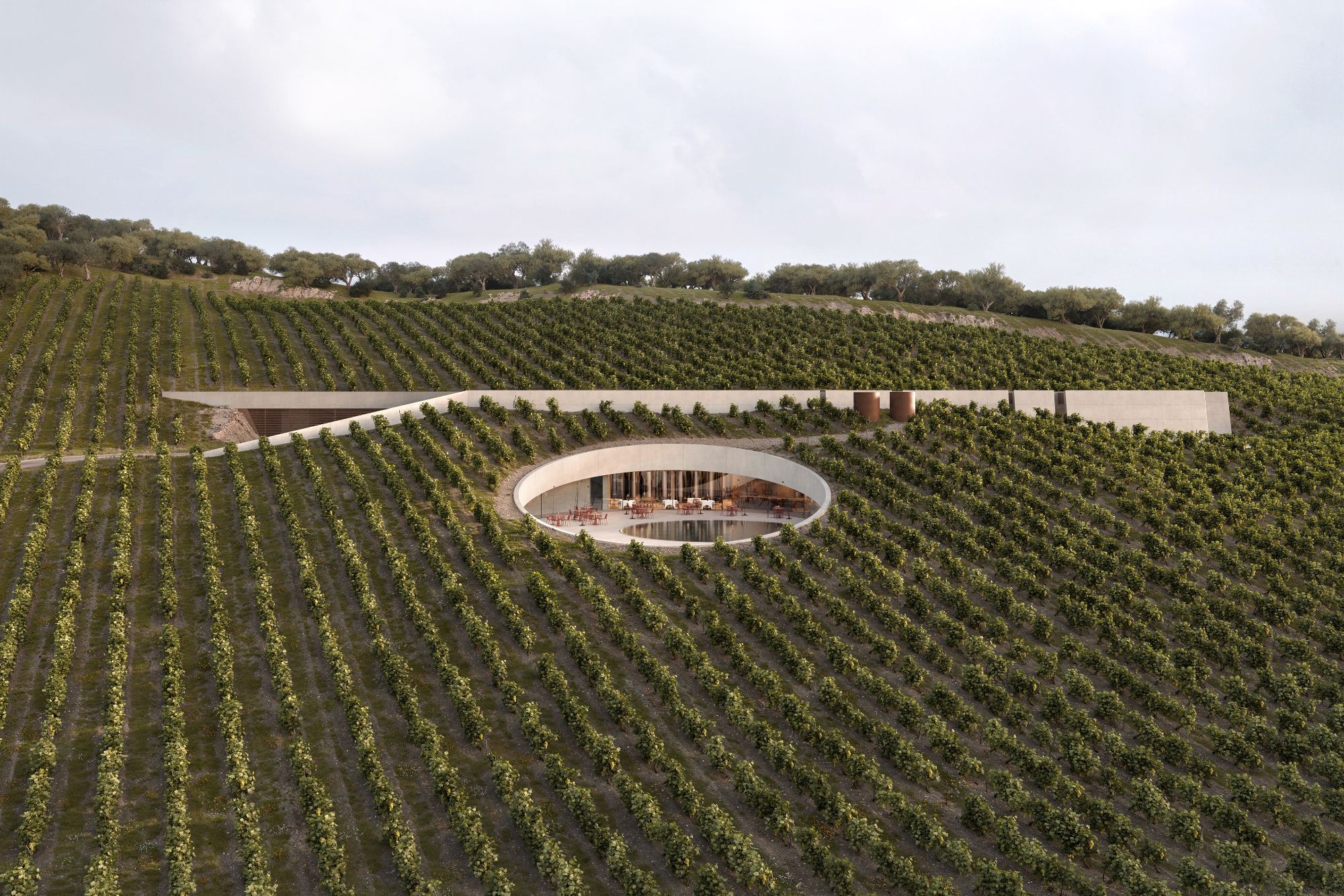 Ktima Aidipsos Winery - Gessato