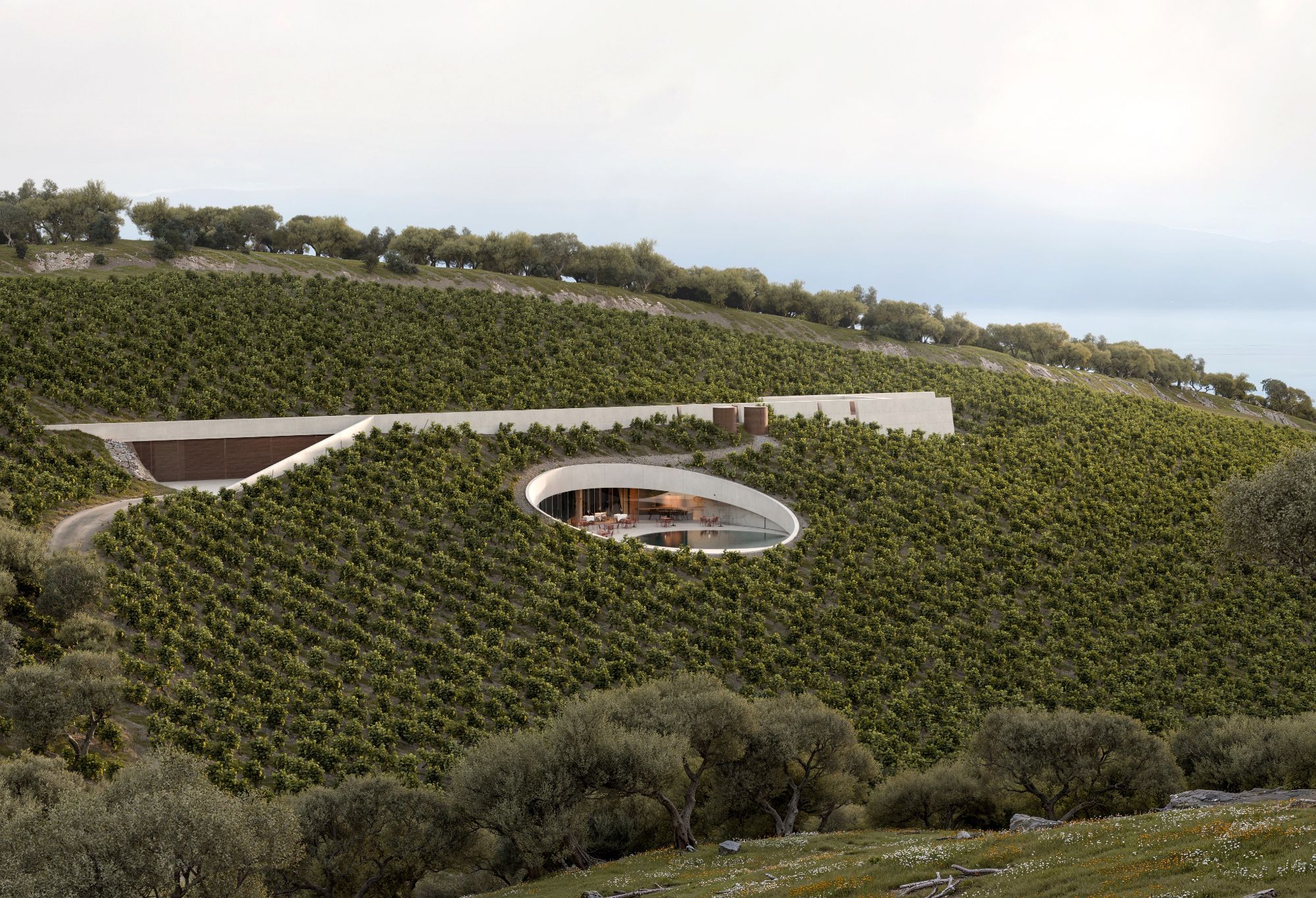 Ktima Aidipsos Winery - Gessato