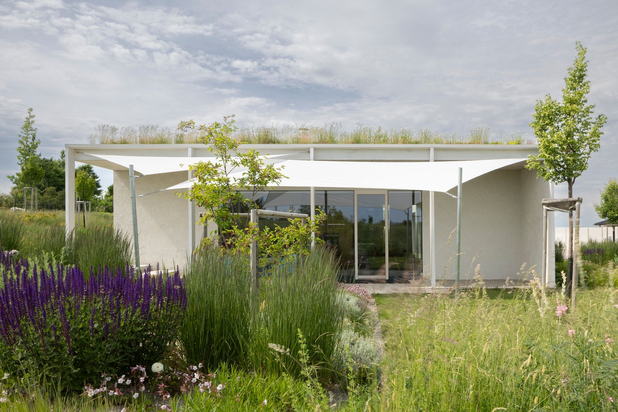 Rdom 2 House - Gessato