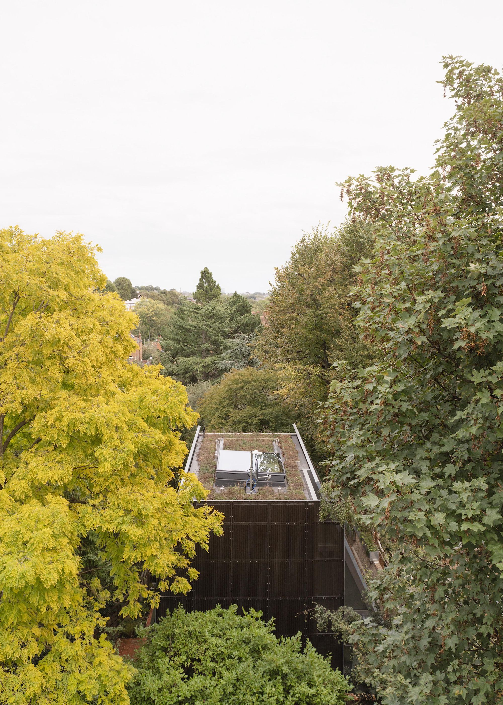 Reciprocal House - Gessato