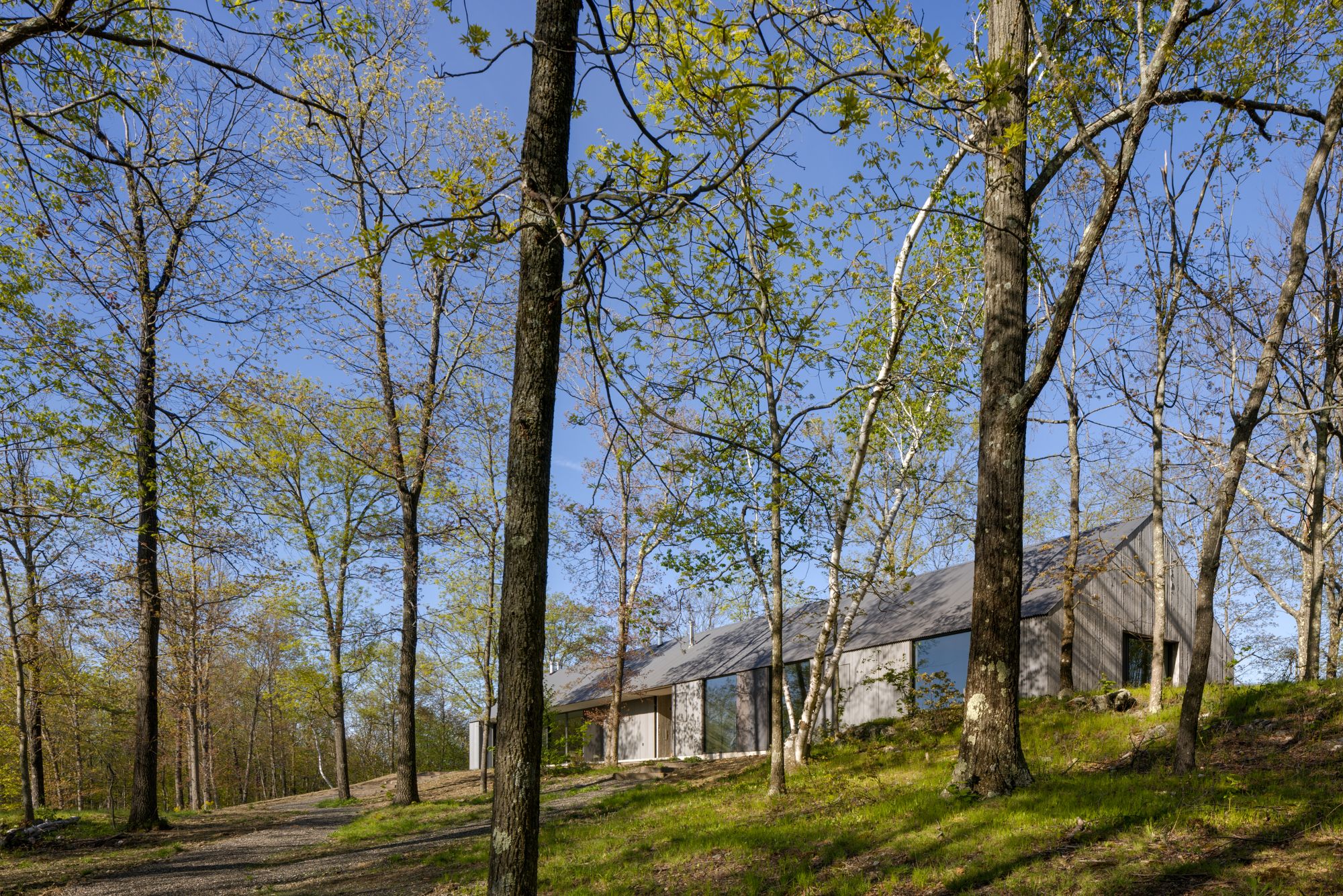 Ridge House - Gessato