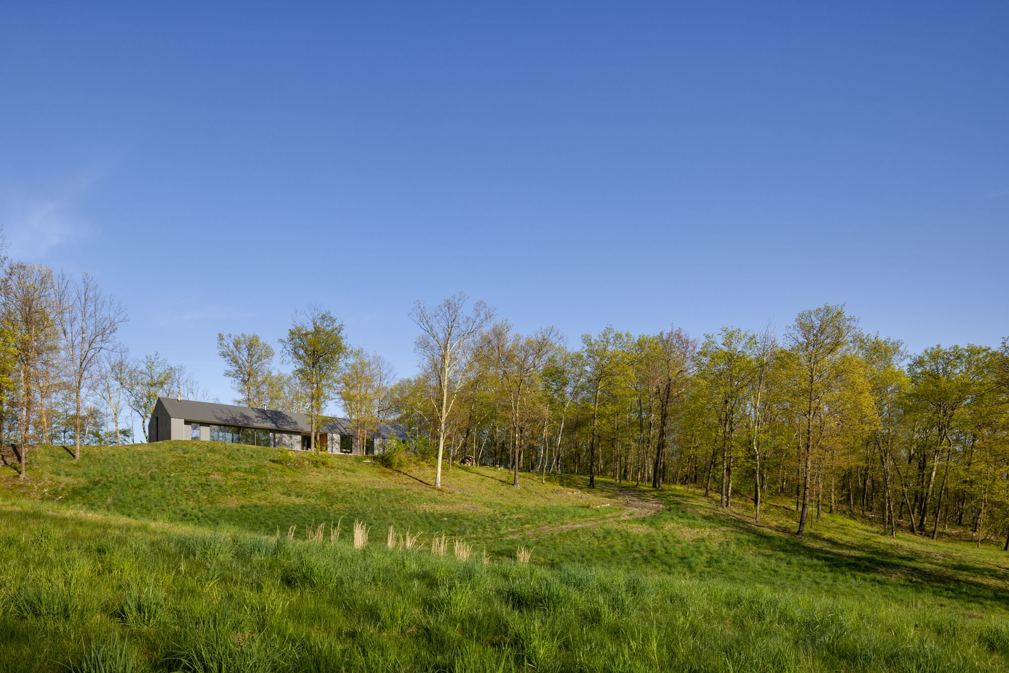 Ridge House - Gessato