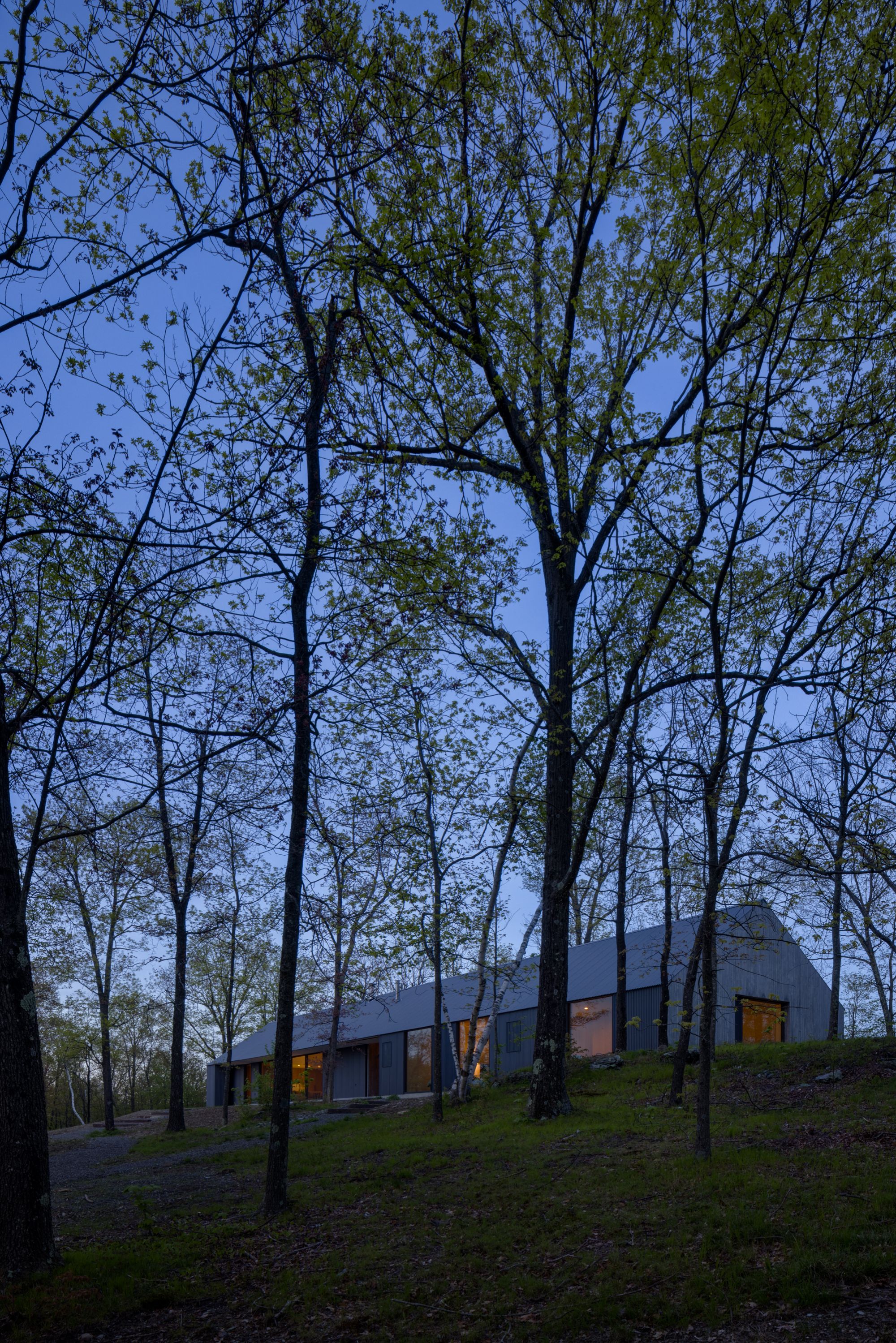 Ridge House - Gessato