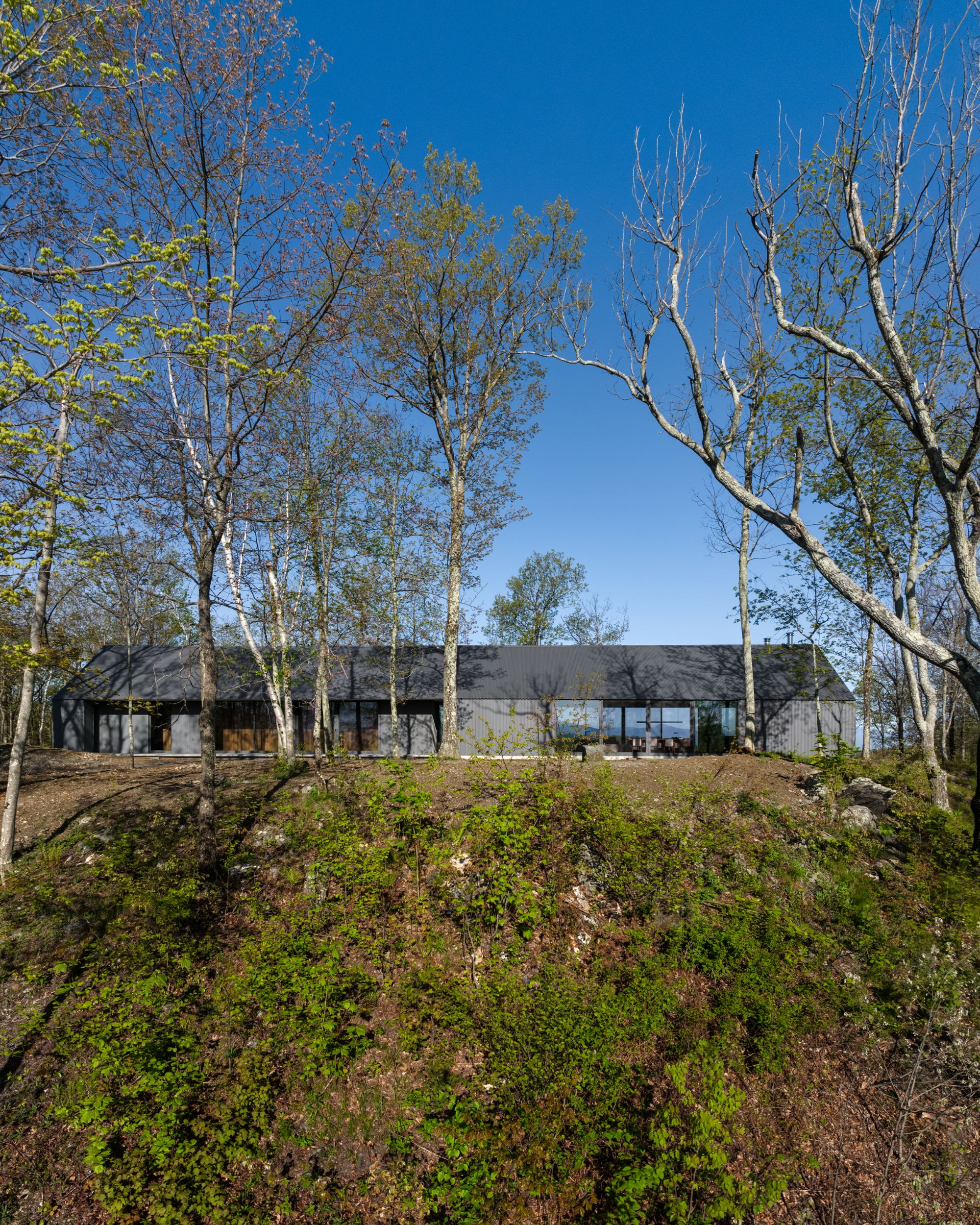Ridge House - Gessato