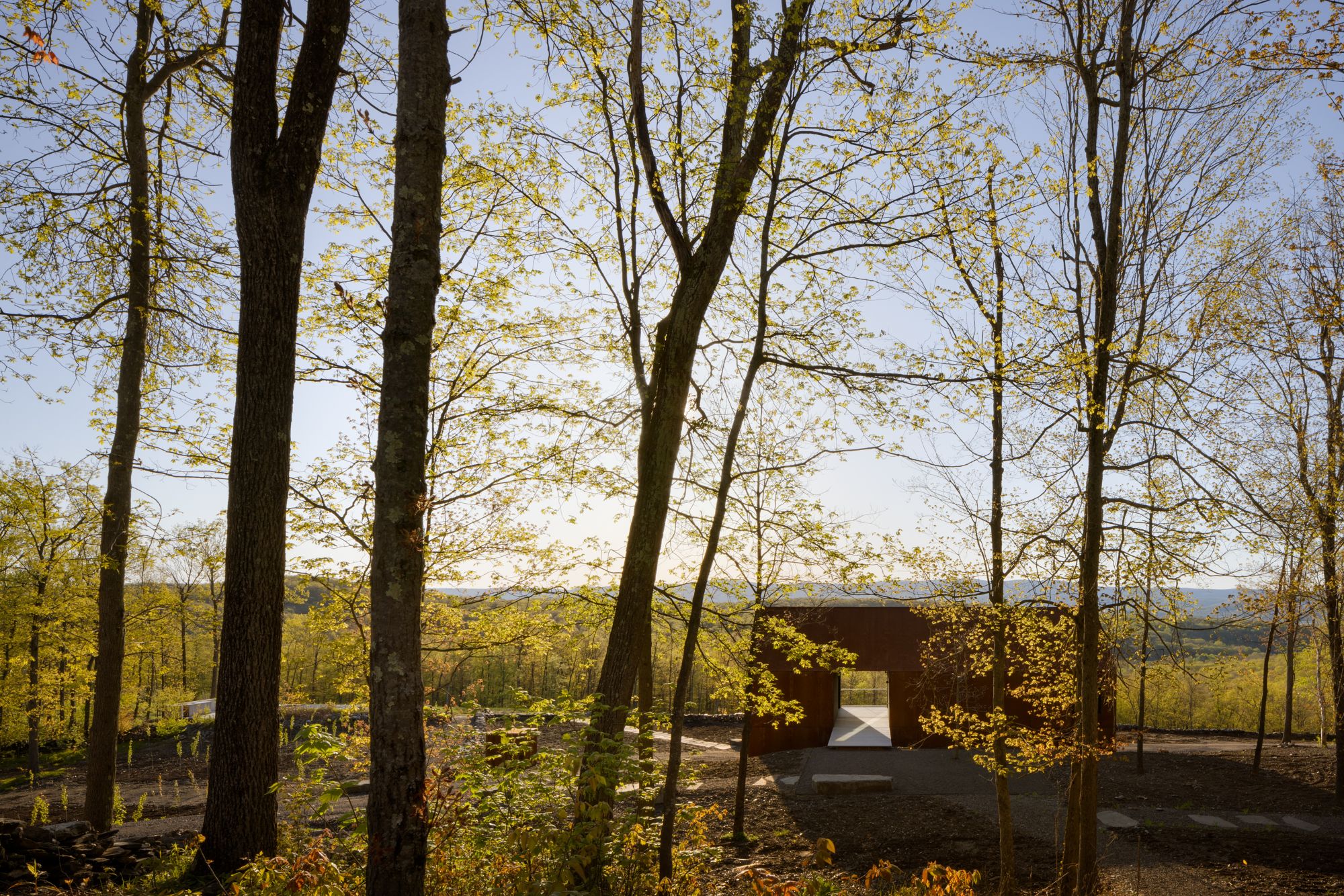 Ridge House - Gessato