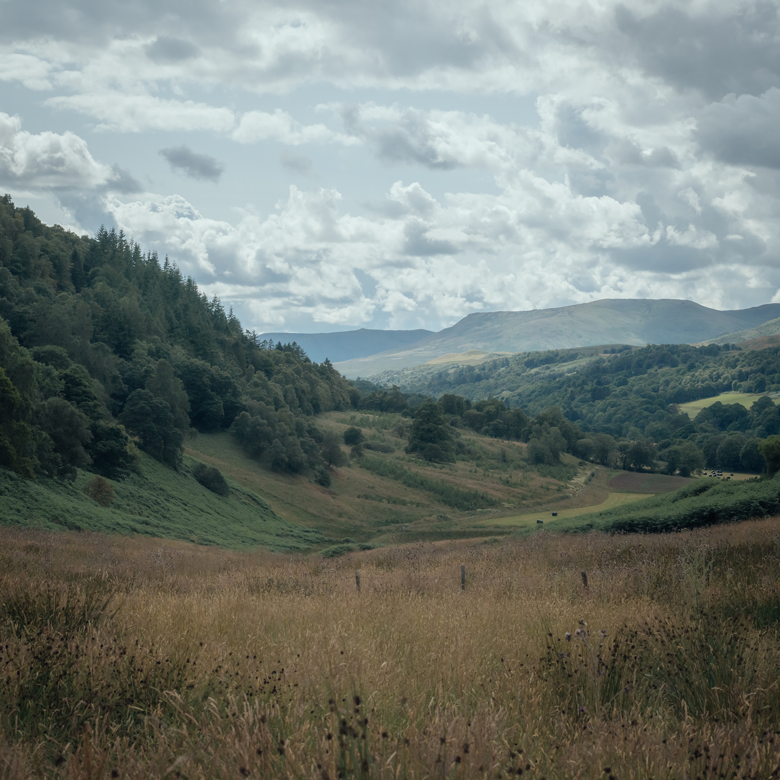 Riverside Renewal, Perthshire - Gessato Riverside Renewal, Perthshire - Gessato