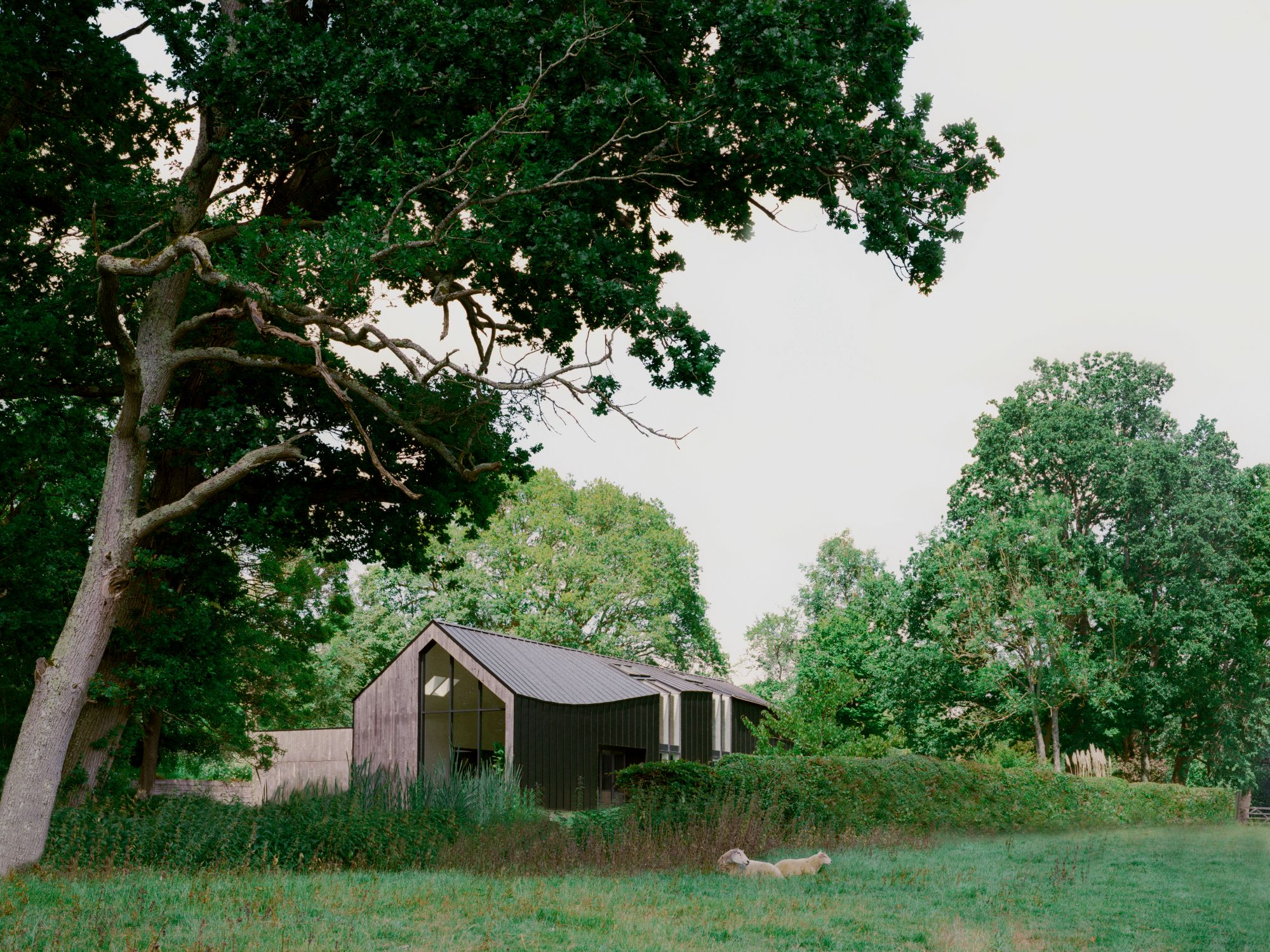 Twisted House - Gessato