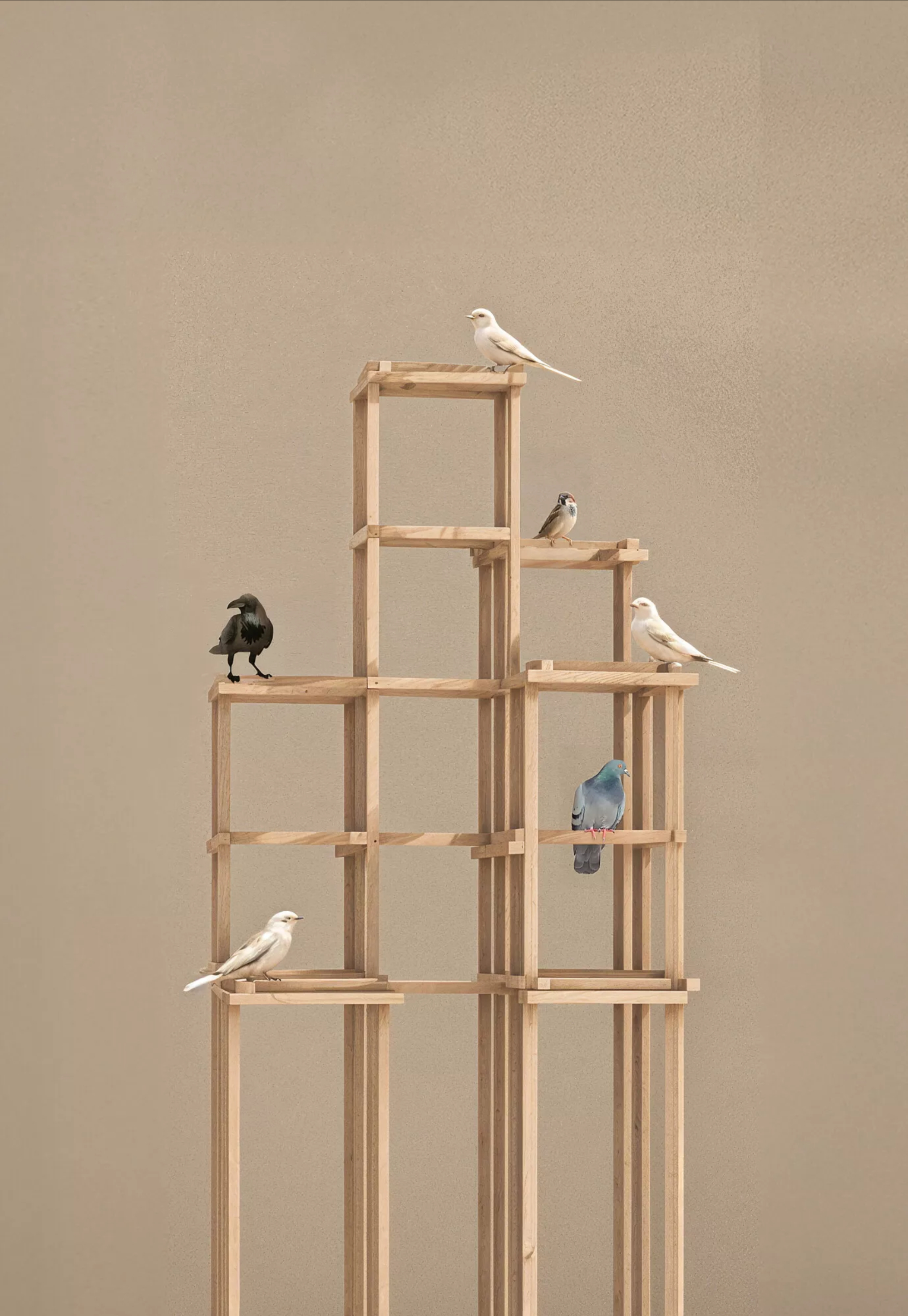 Architects for the Birds - Gessato