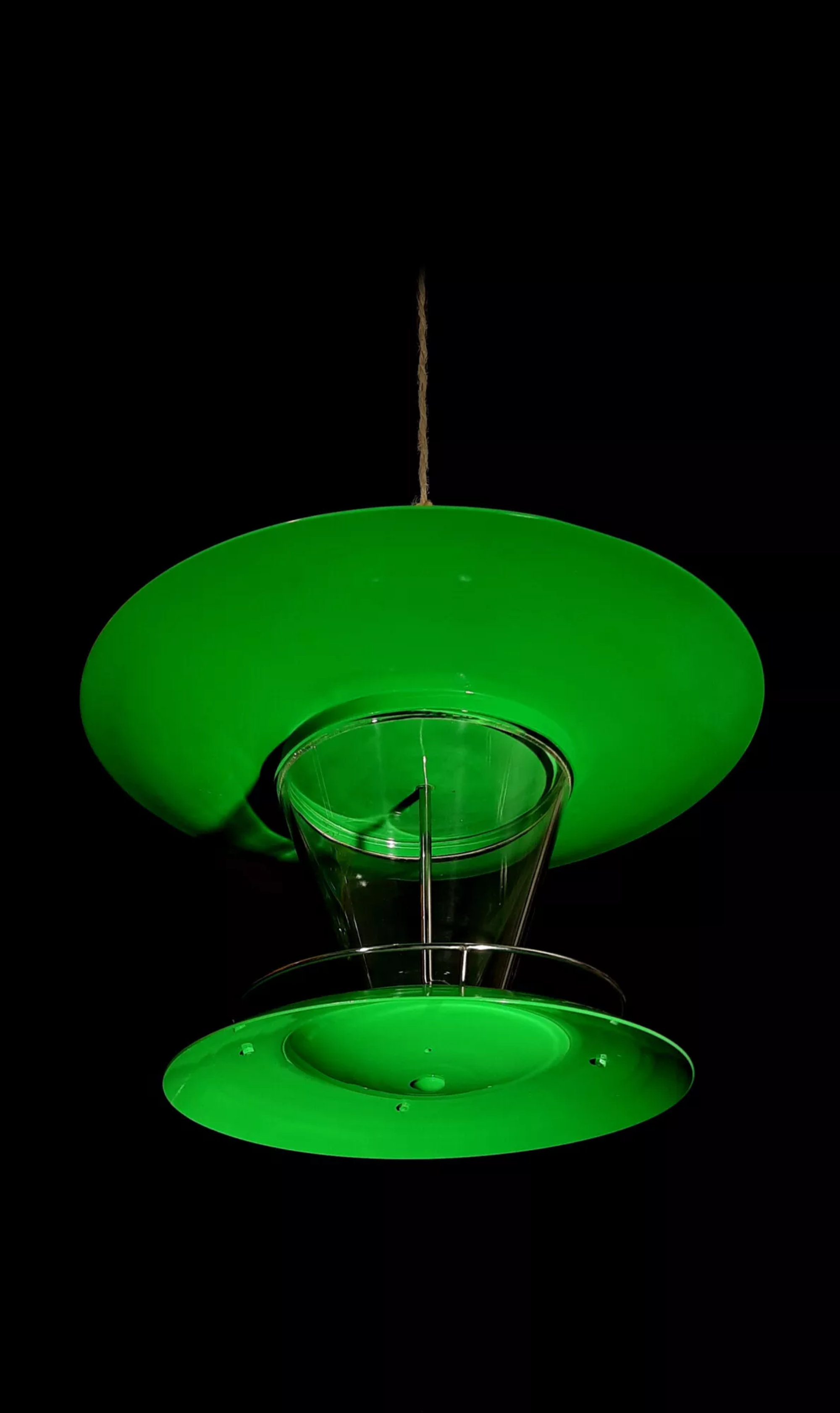 Architects for the Birds - Gessato