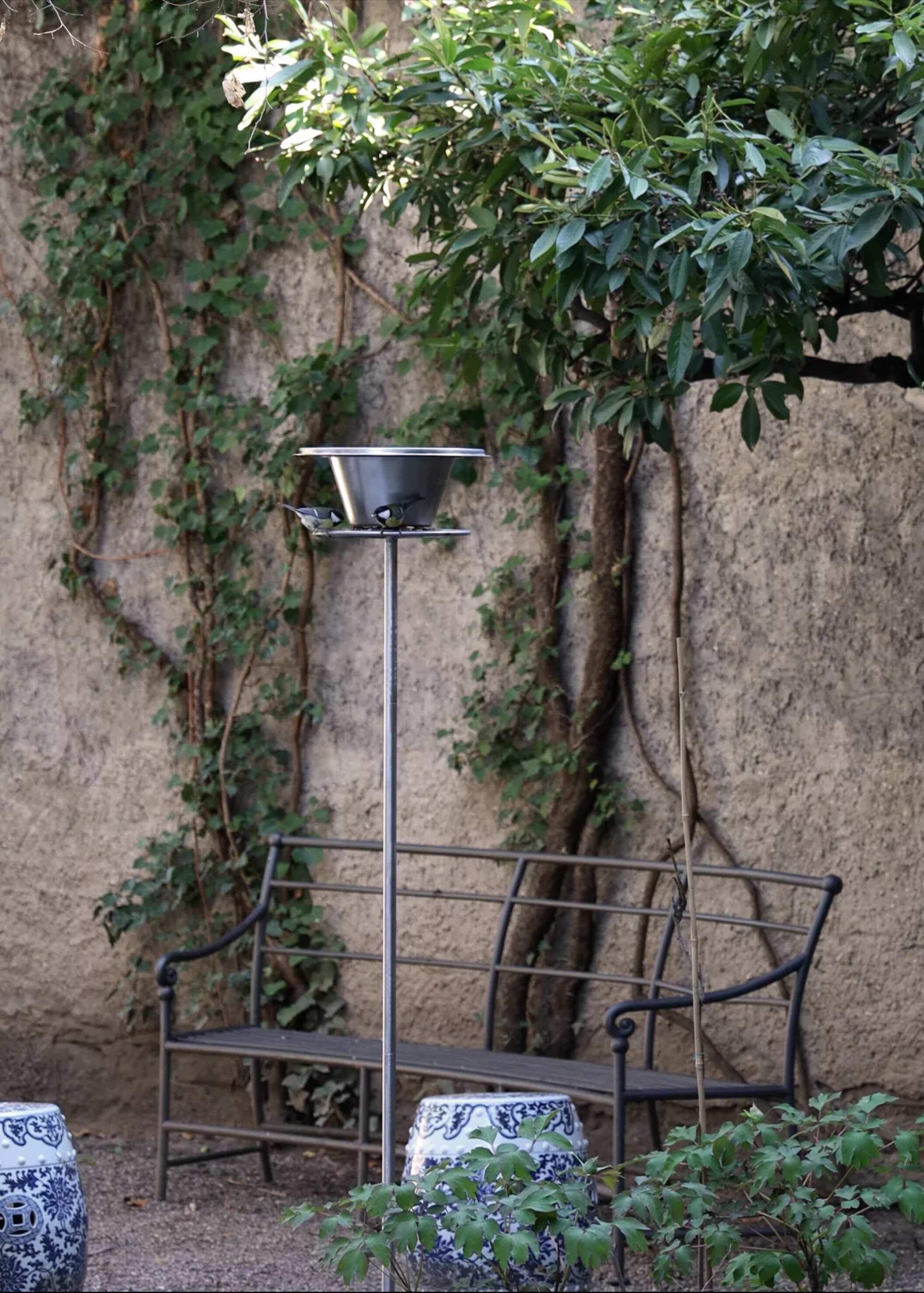 Architects for the Birds - Gessato