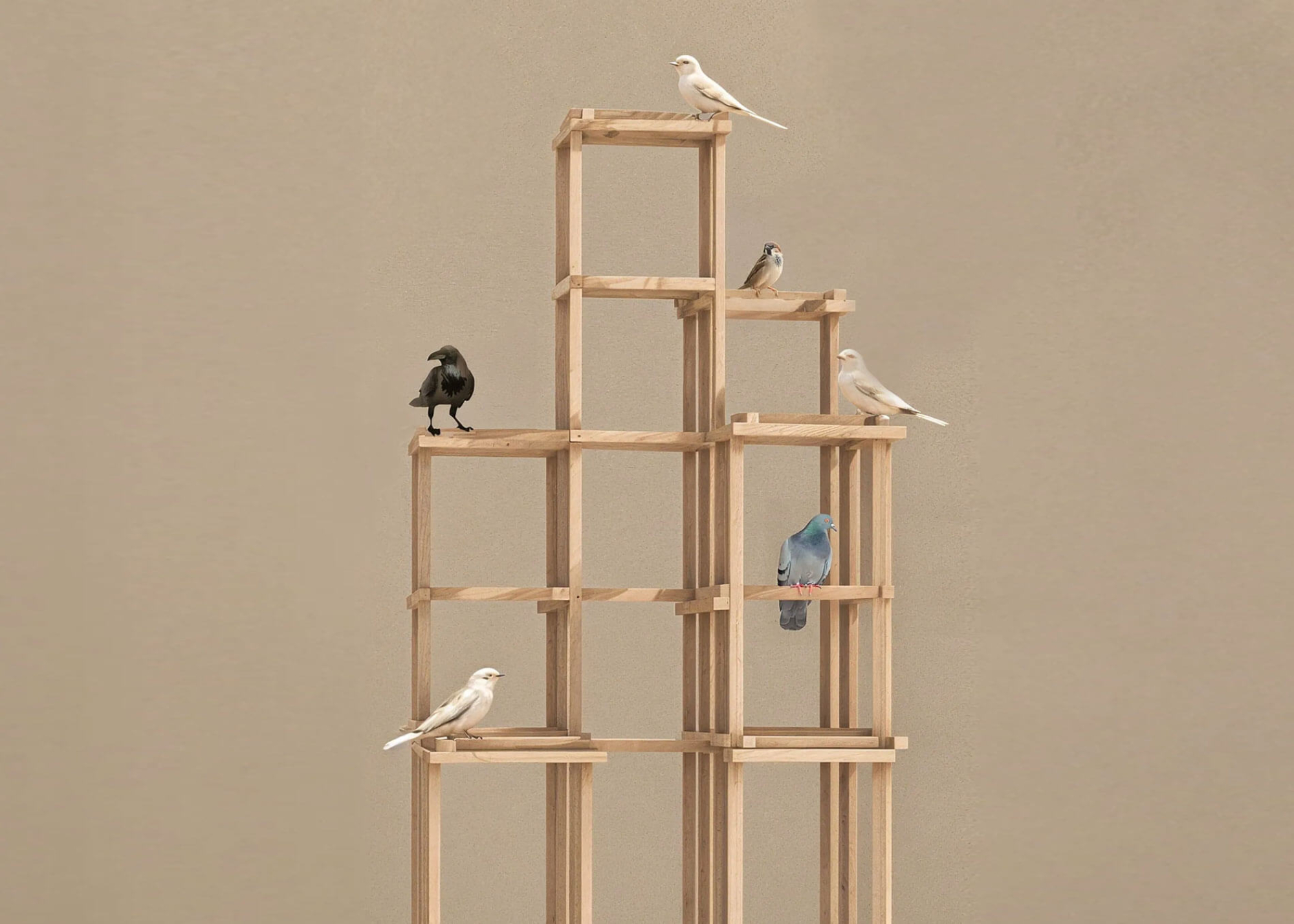 Architects for the Birds - Gessato
