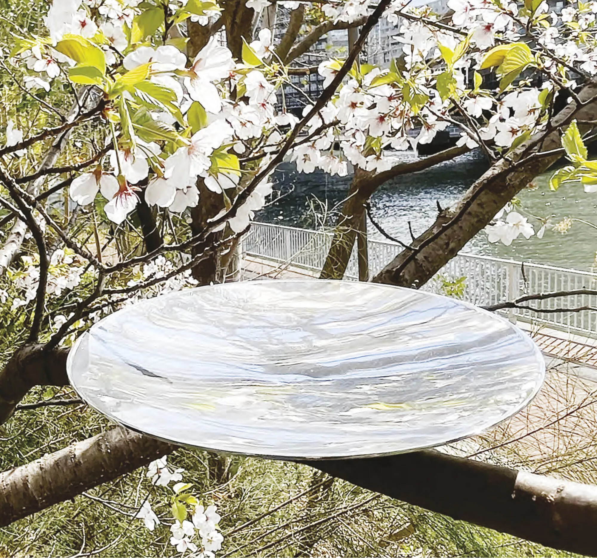 Architects for the Birds - Gessato