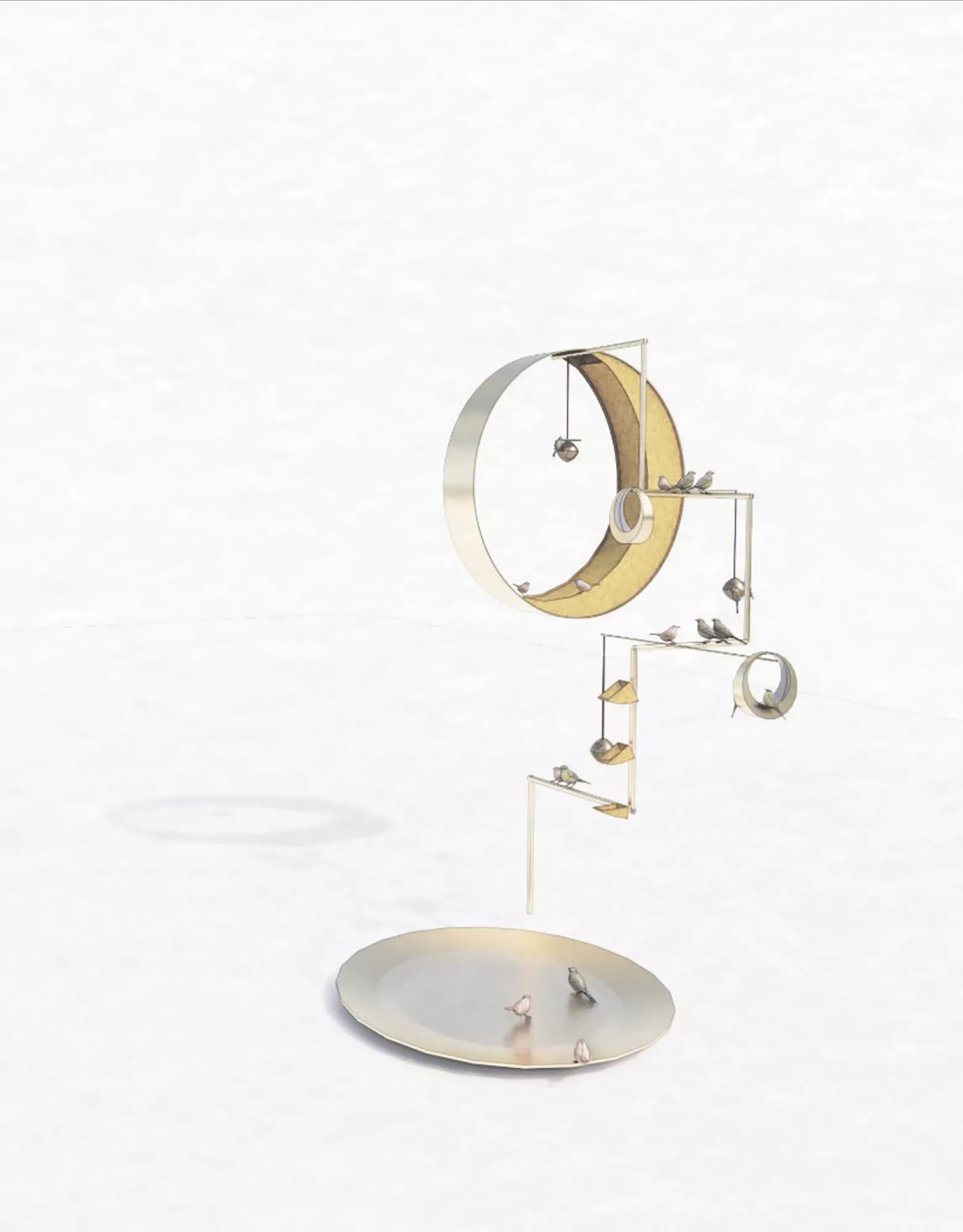 Architects for the Birds - Gessato