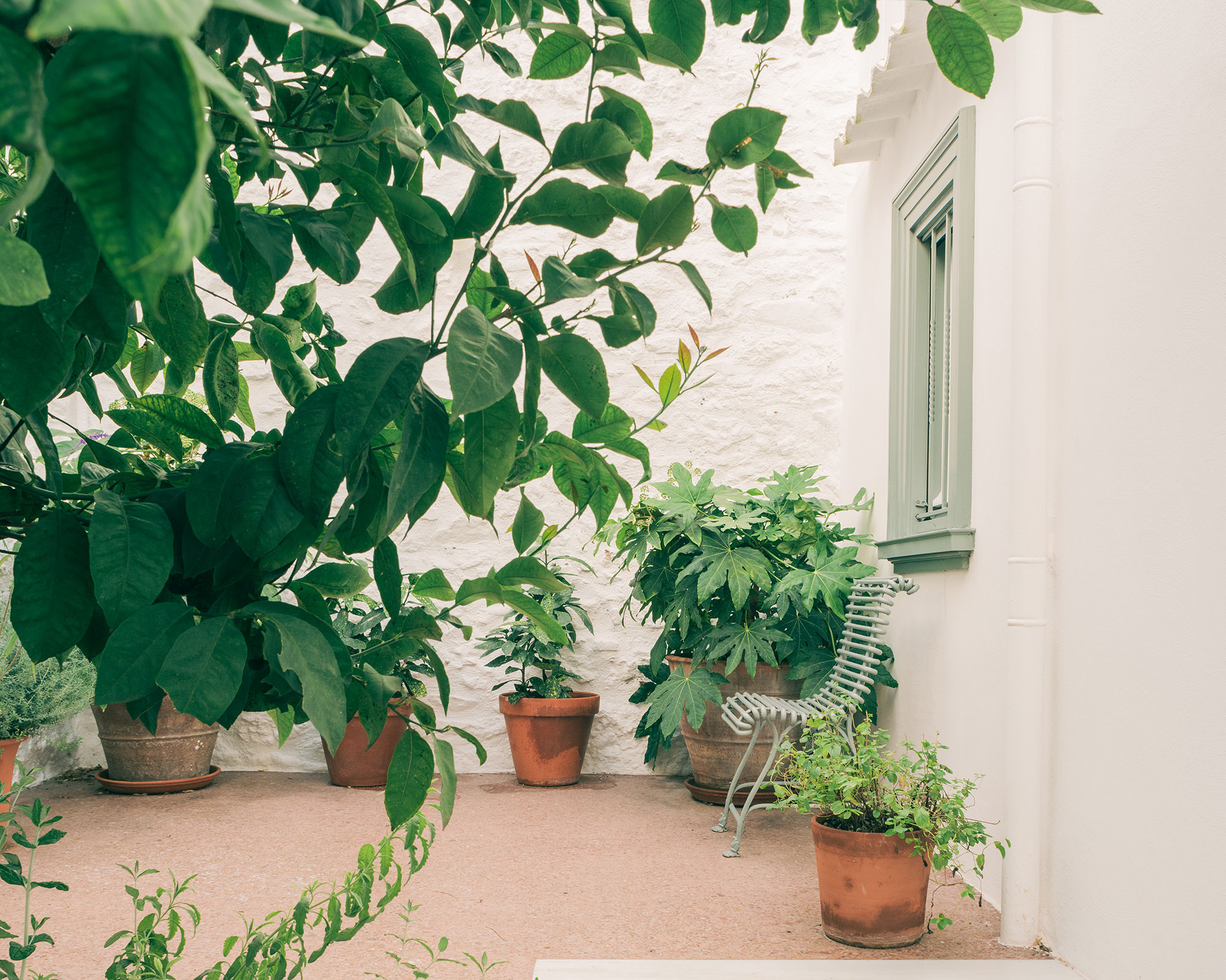 Plaka House by Local Local - Gessato