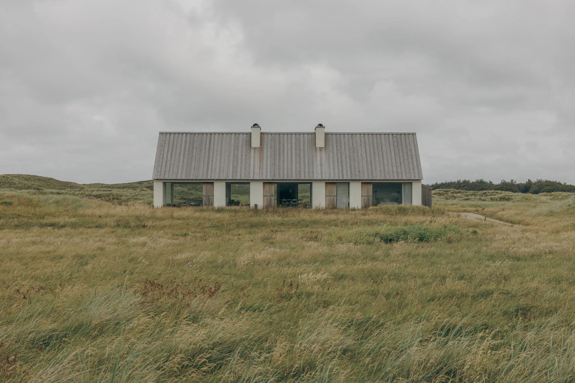 Vipp Cold Hawaii - Gessato