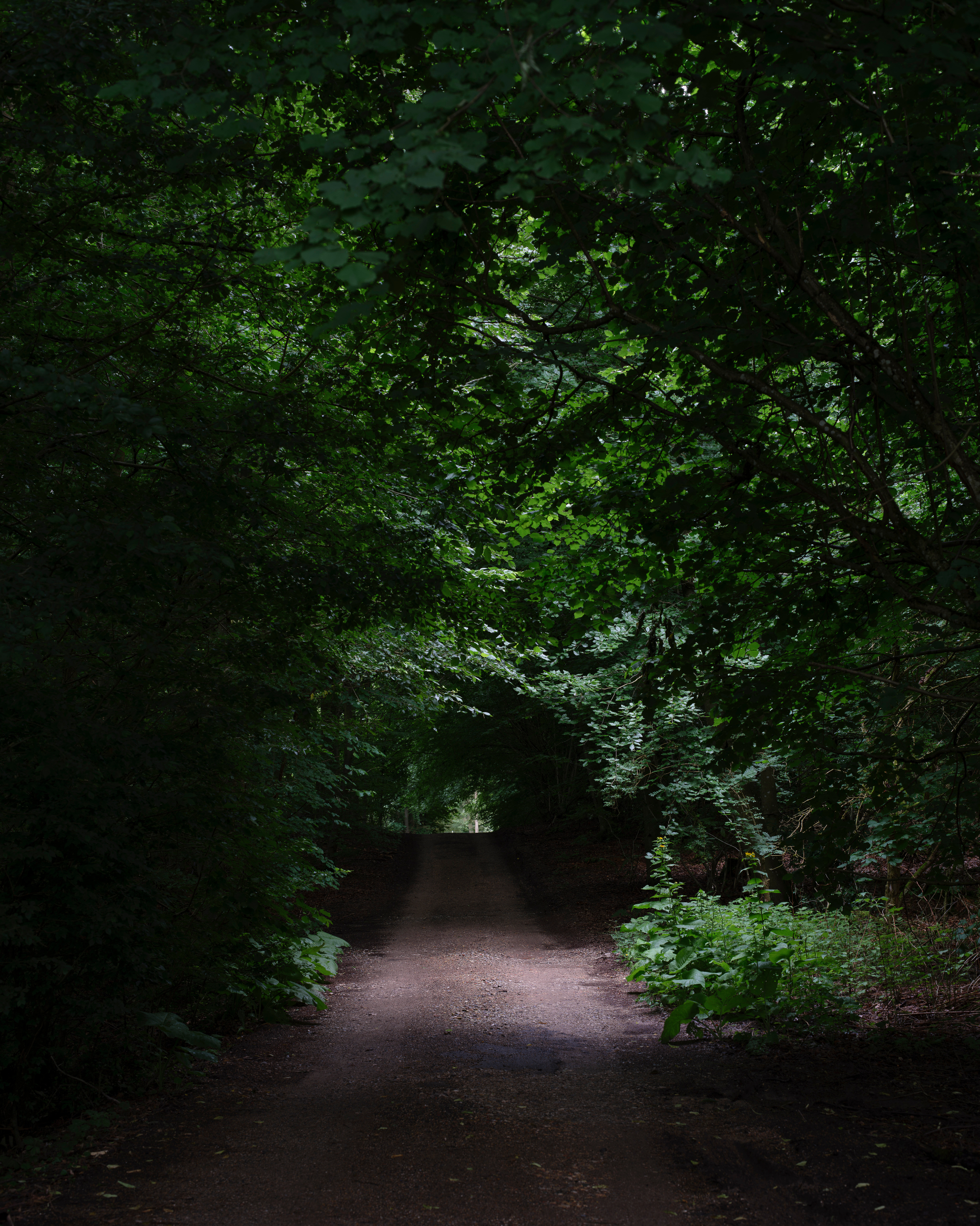 House in Gurre - Gessato