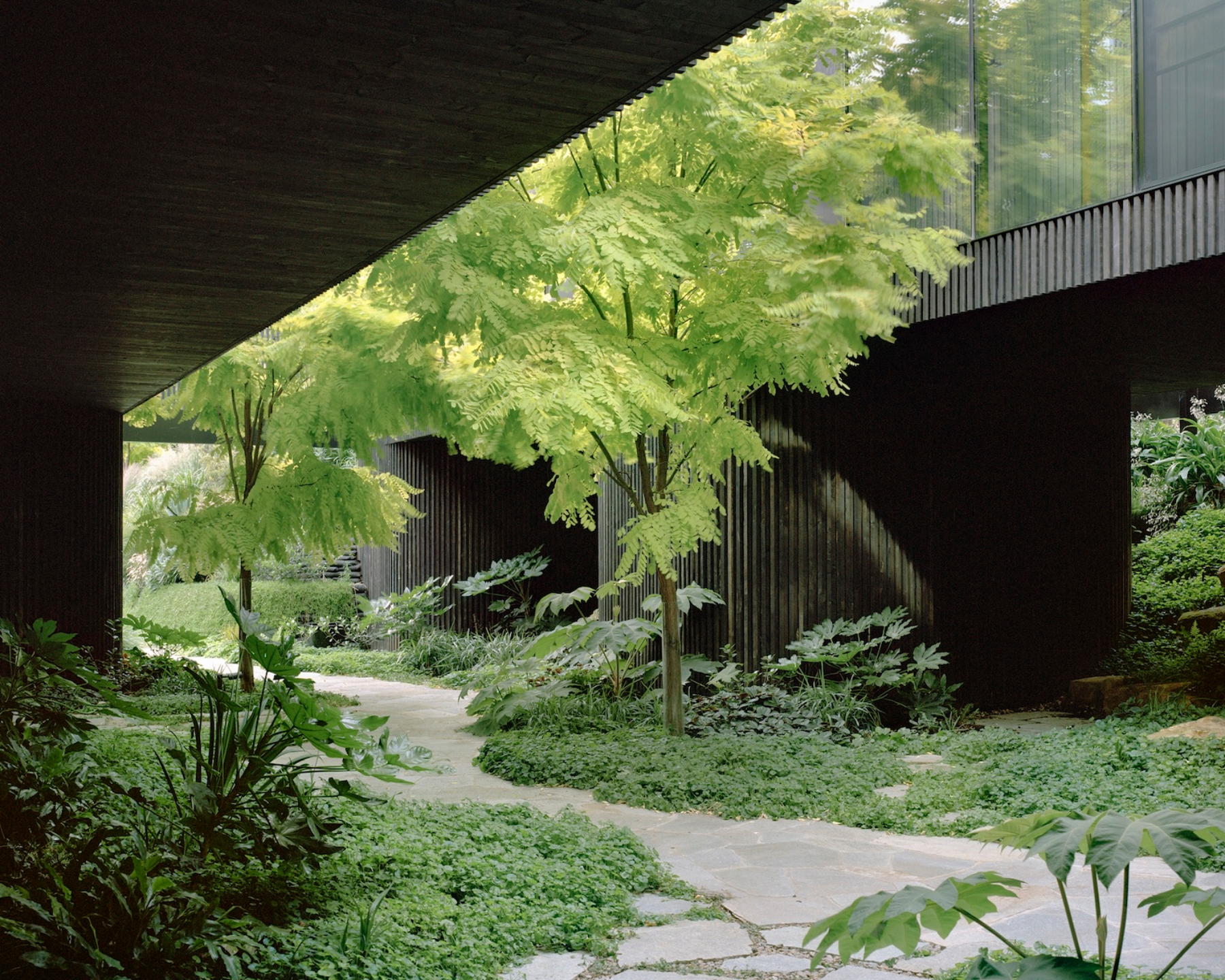 House in a Garden - Gessato