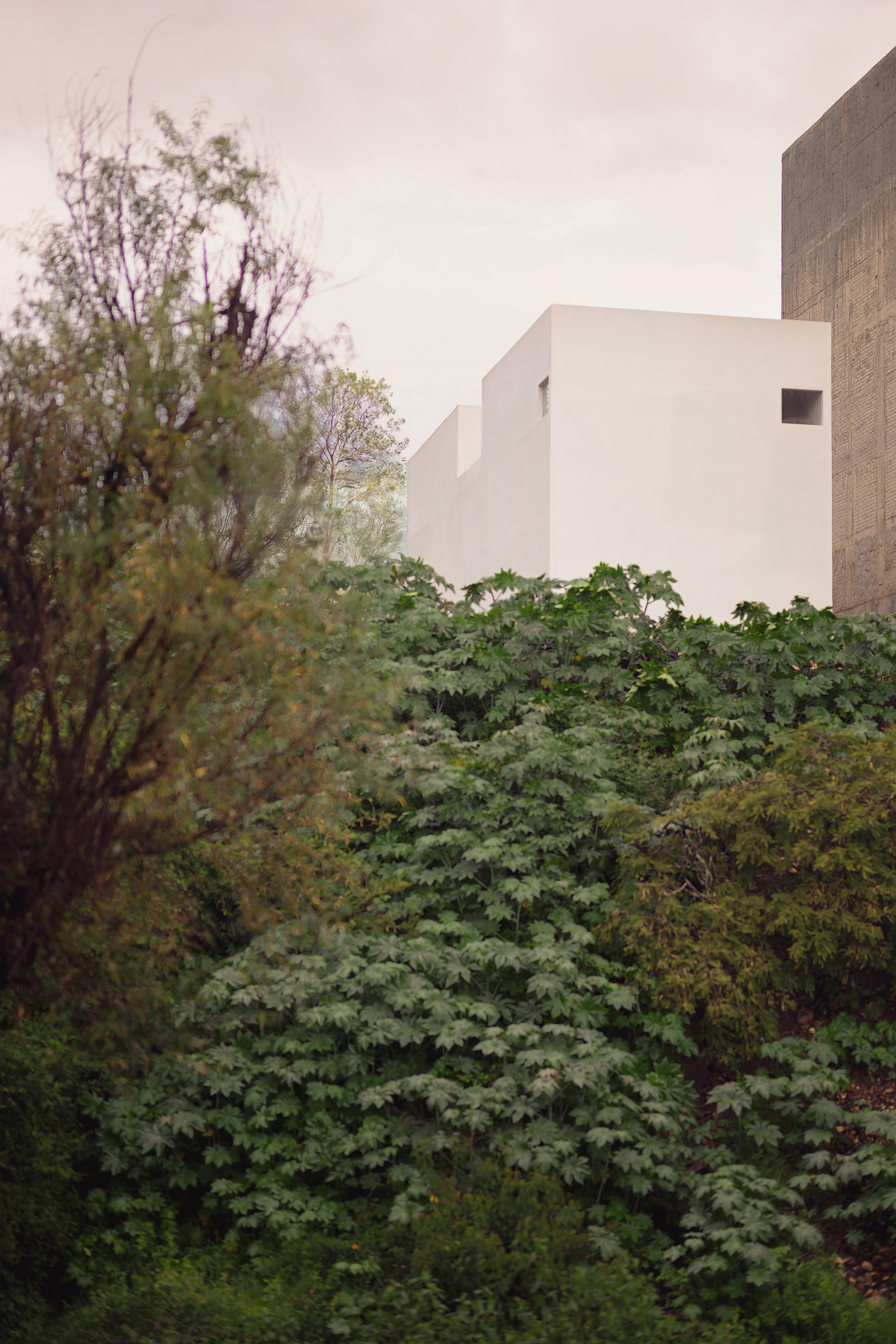 Kehai House - Gessato