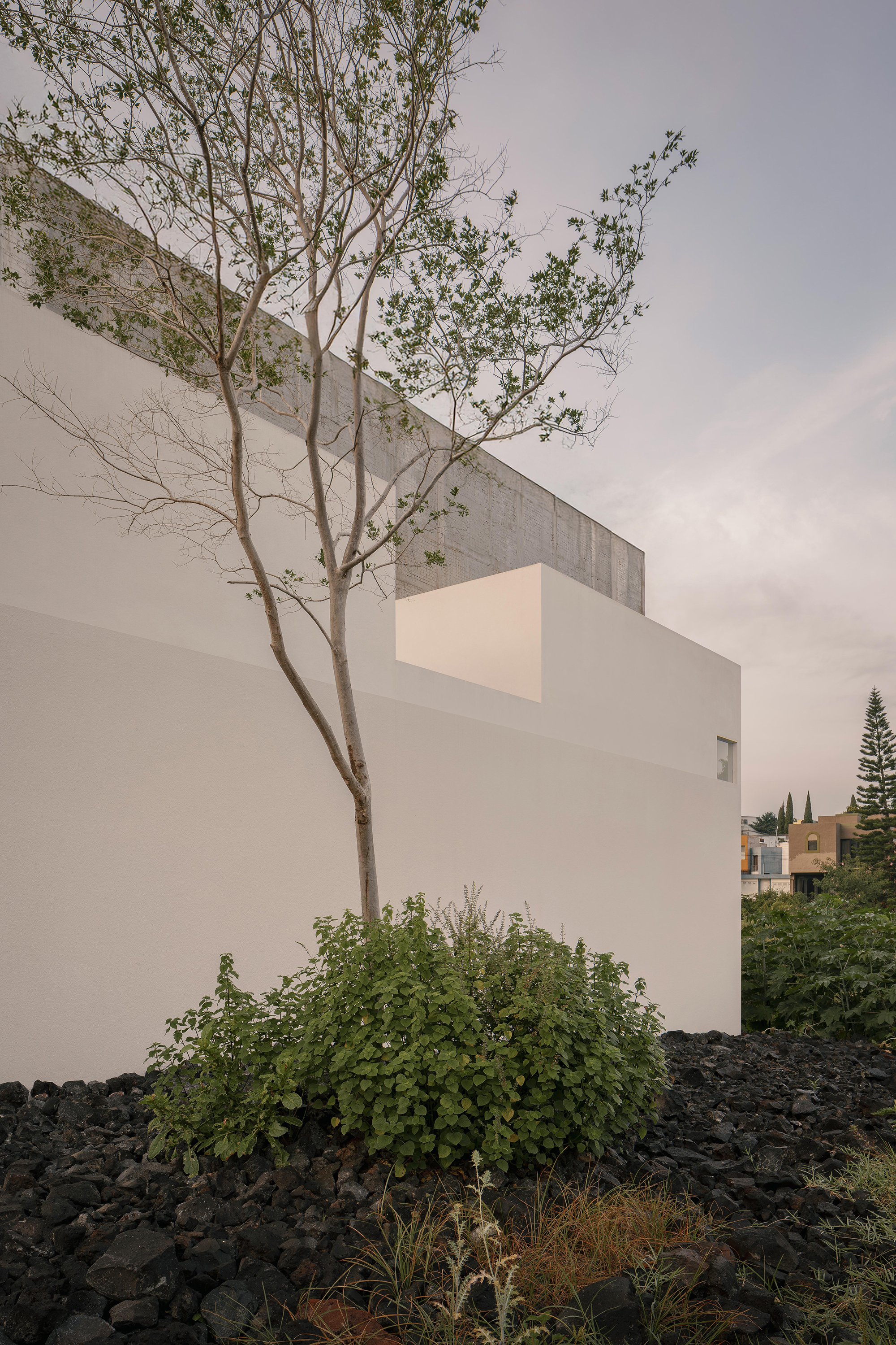 Kehai House - Gessato